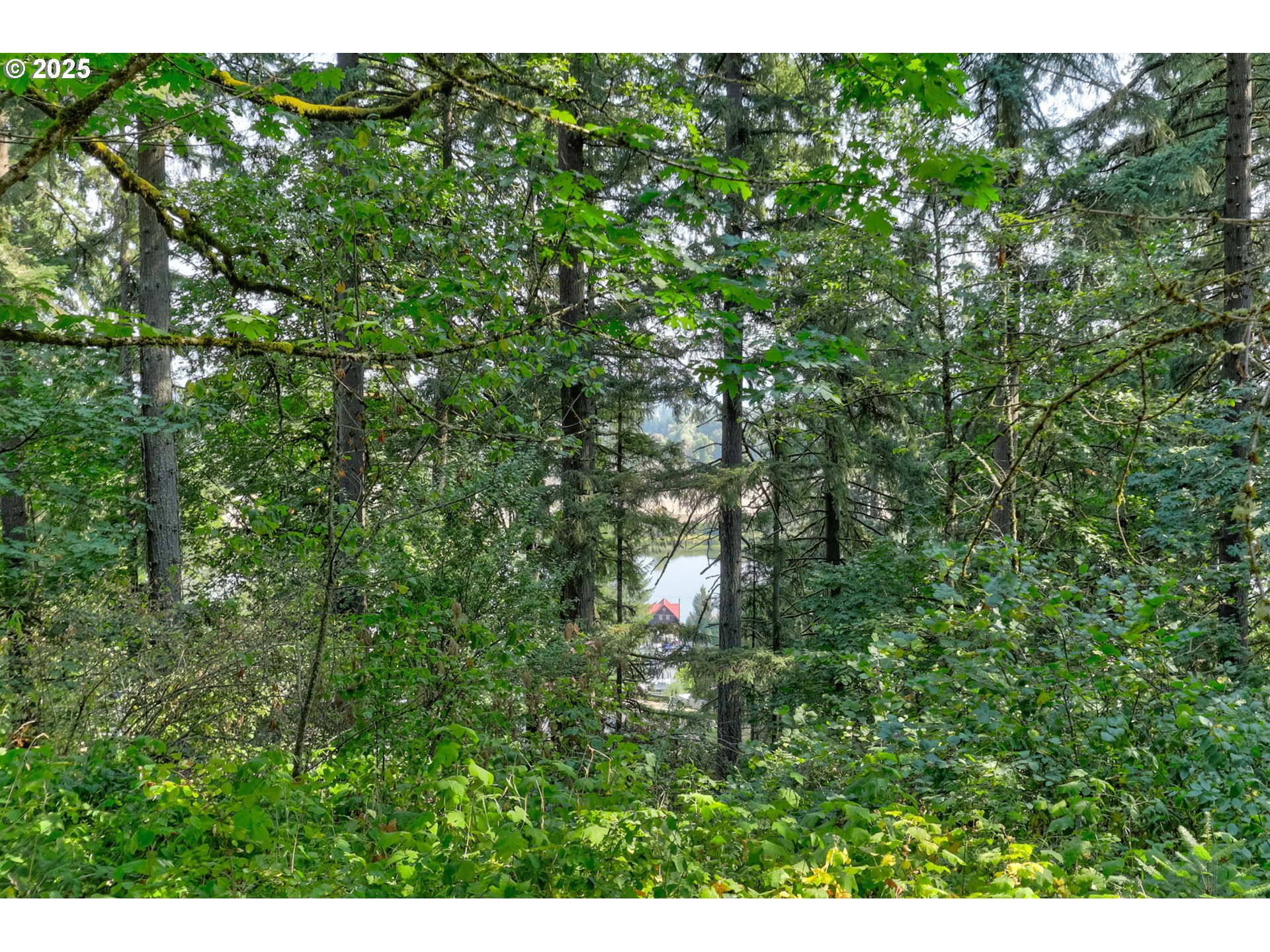 Nw Arcadia 15-17 Property Photo 5