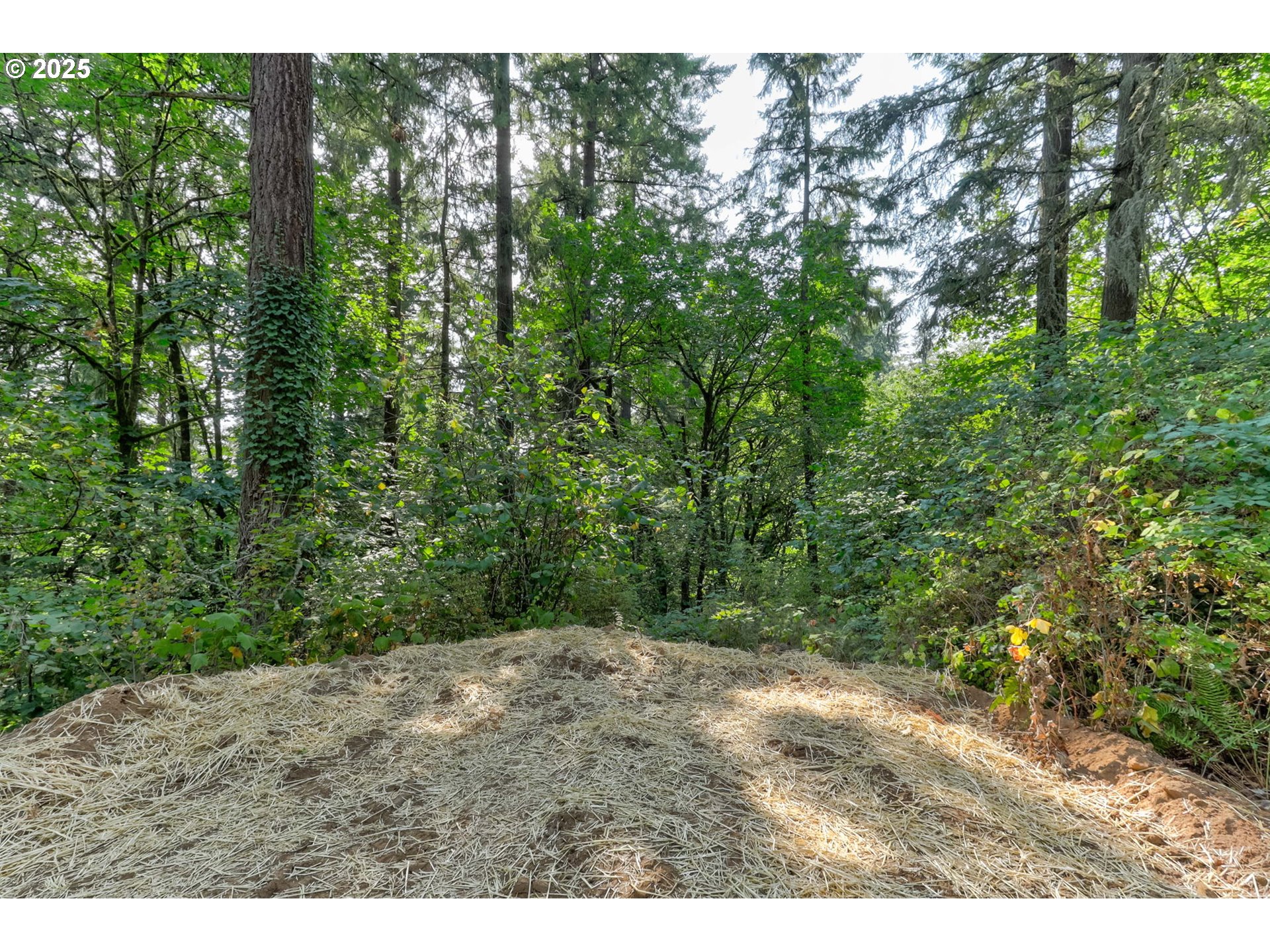 Nw Arcadia 15-17 Property Photo 12