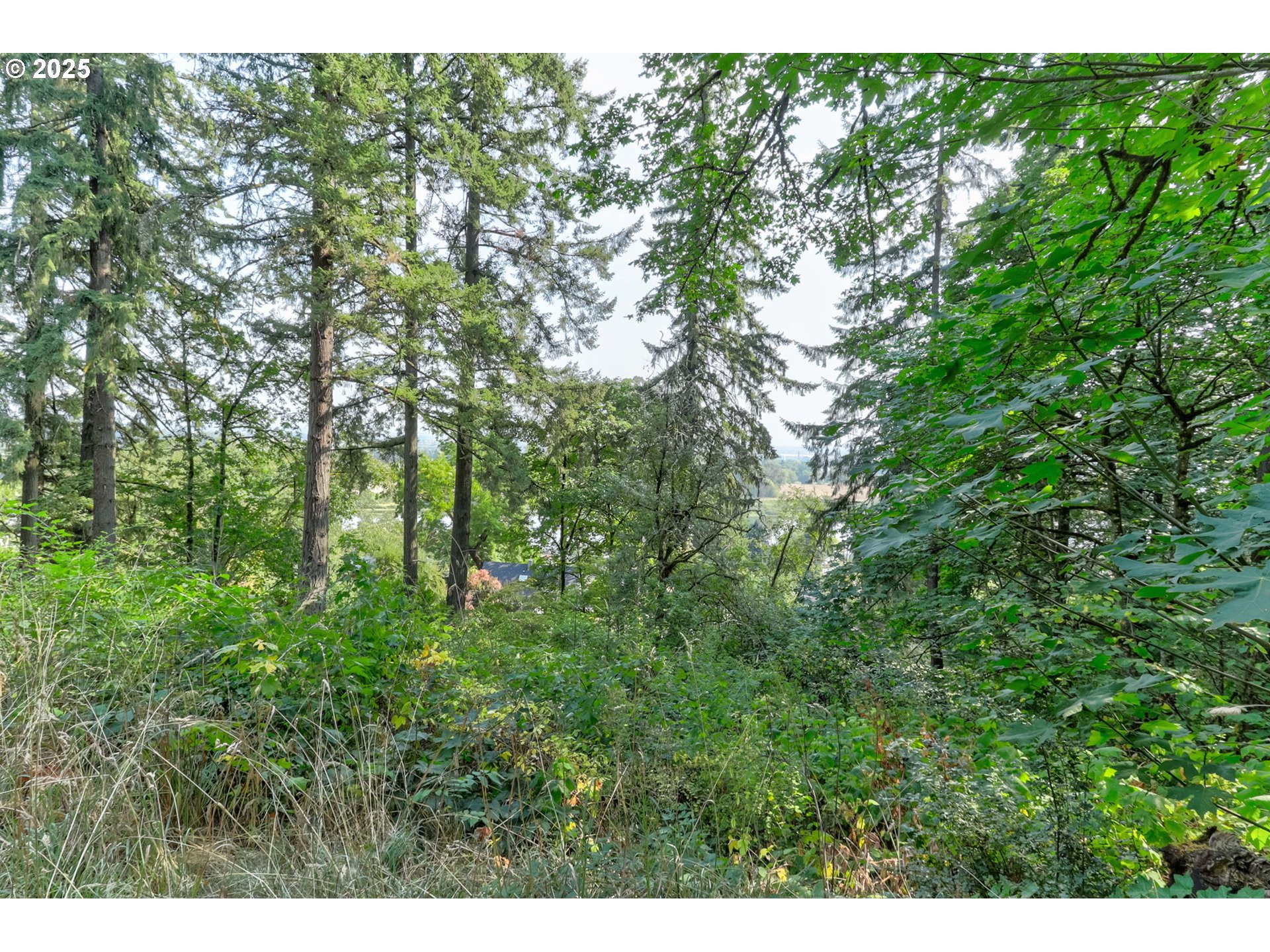 Nw Arcadia 15-17 Property Photo 18
