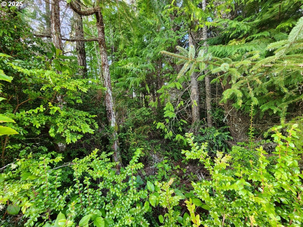 Airport Rd 600 Property Photo 5