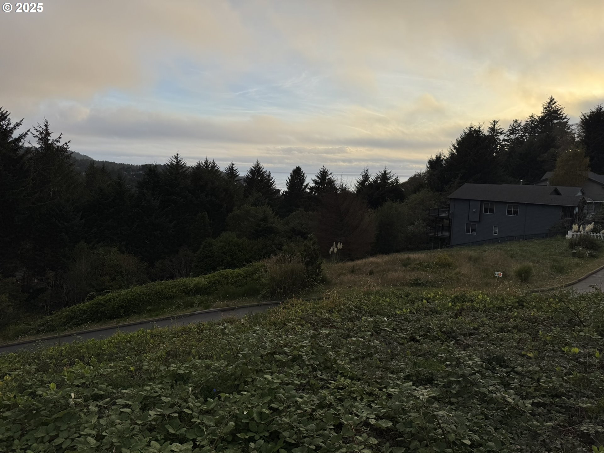 0 Spring Property Photo 2