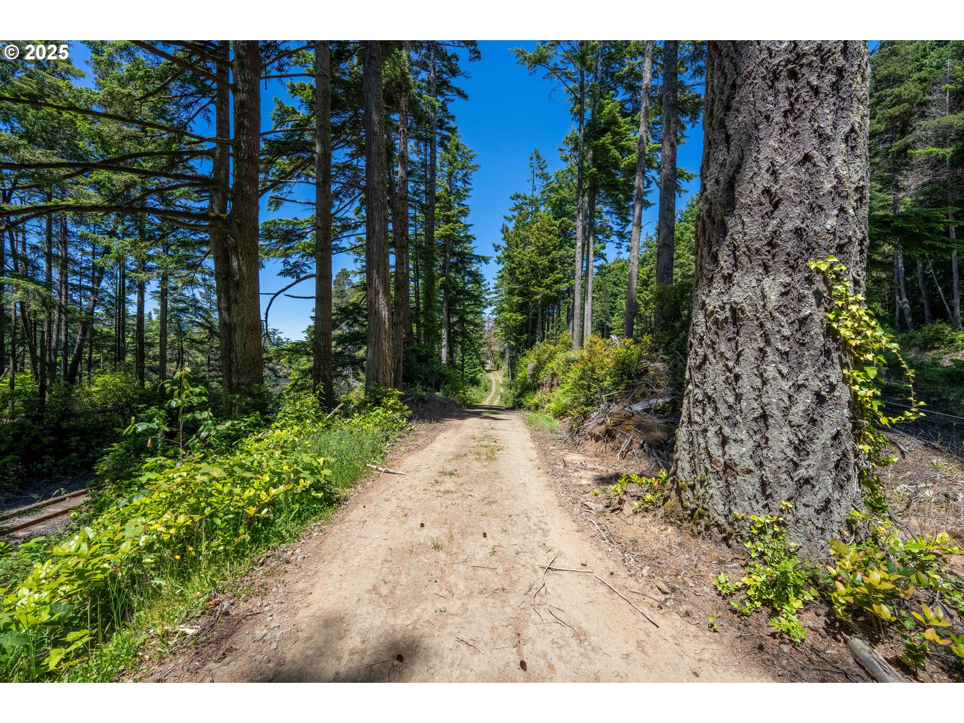 70298 Highway 101 Property Photo 43