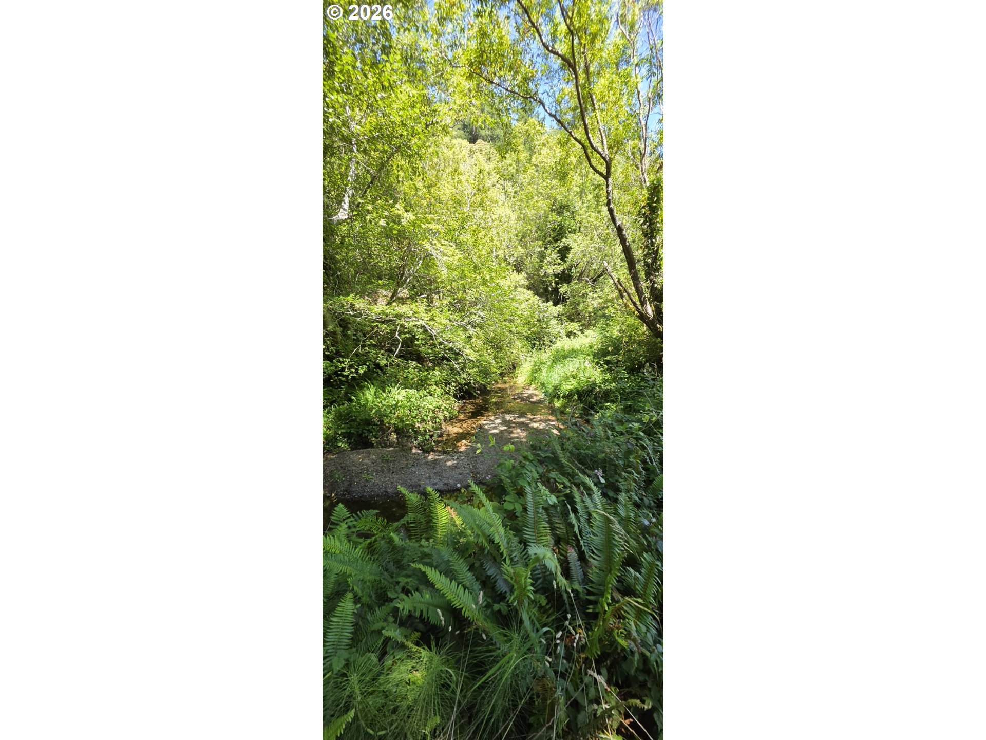 32051 Cedar Valley Rd Property Photo 35