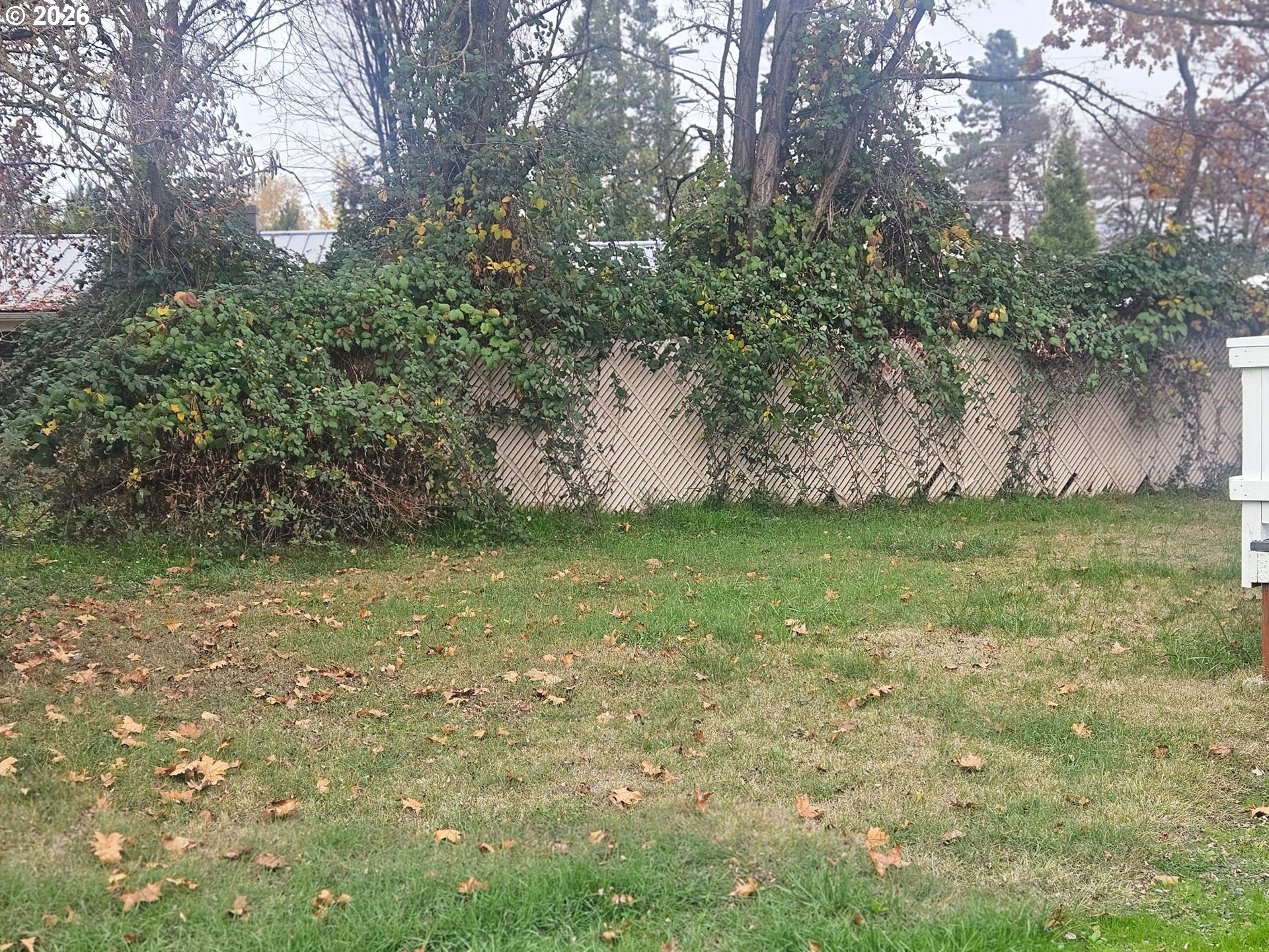 122 Parkdale Cir Property Photo 12