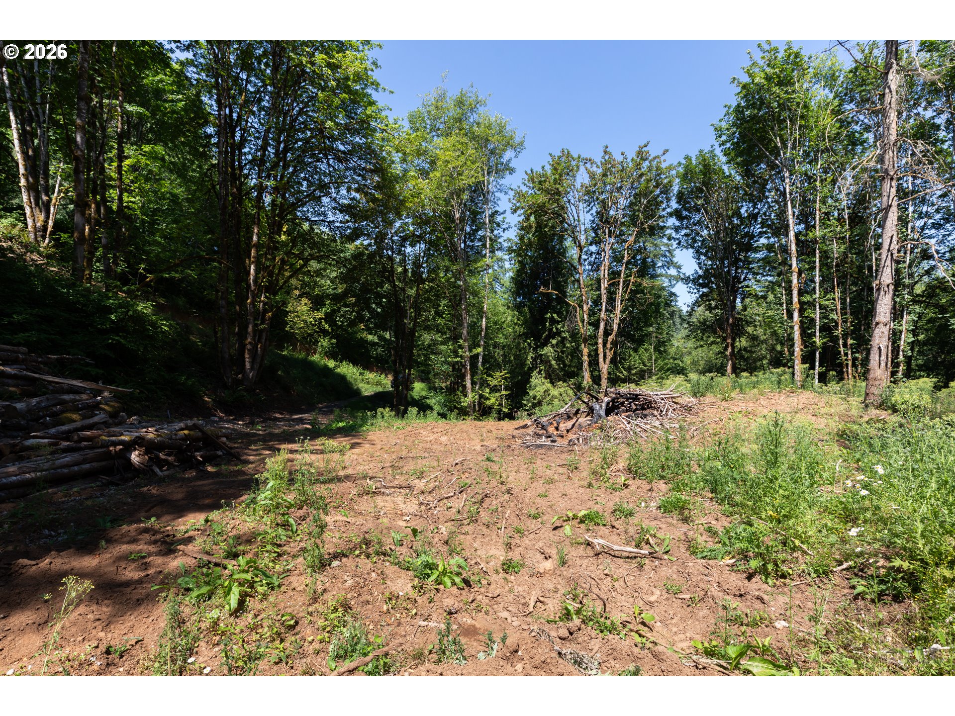 Armstrong Rd 101 Property Photo 4