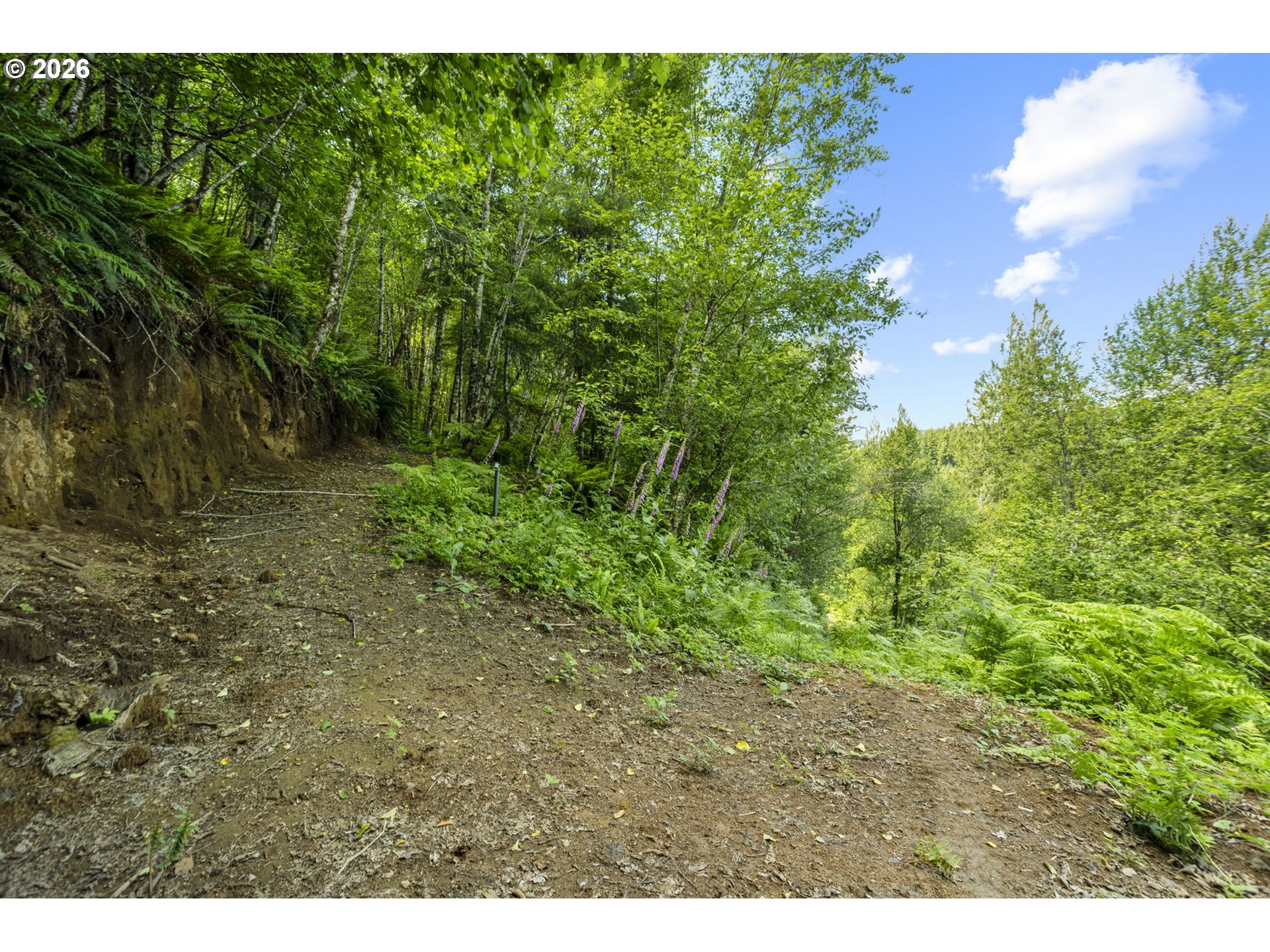 19005 Ne Buncombe Hollow Rd Property Photo 11