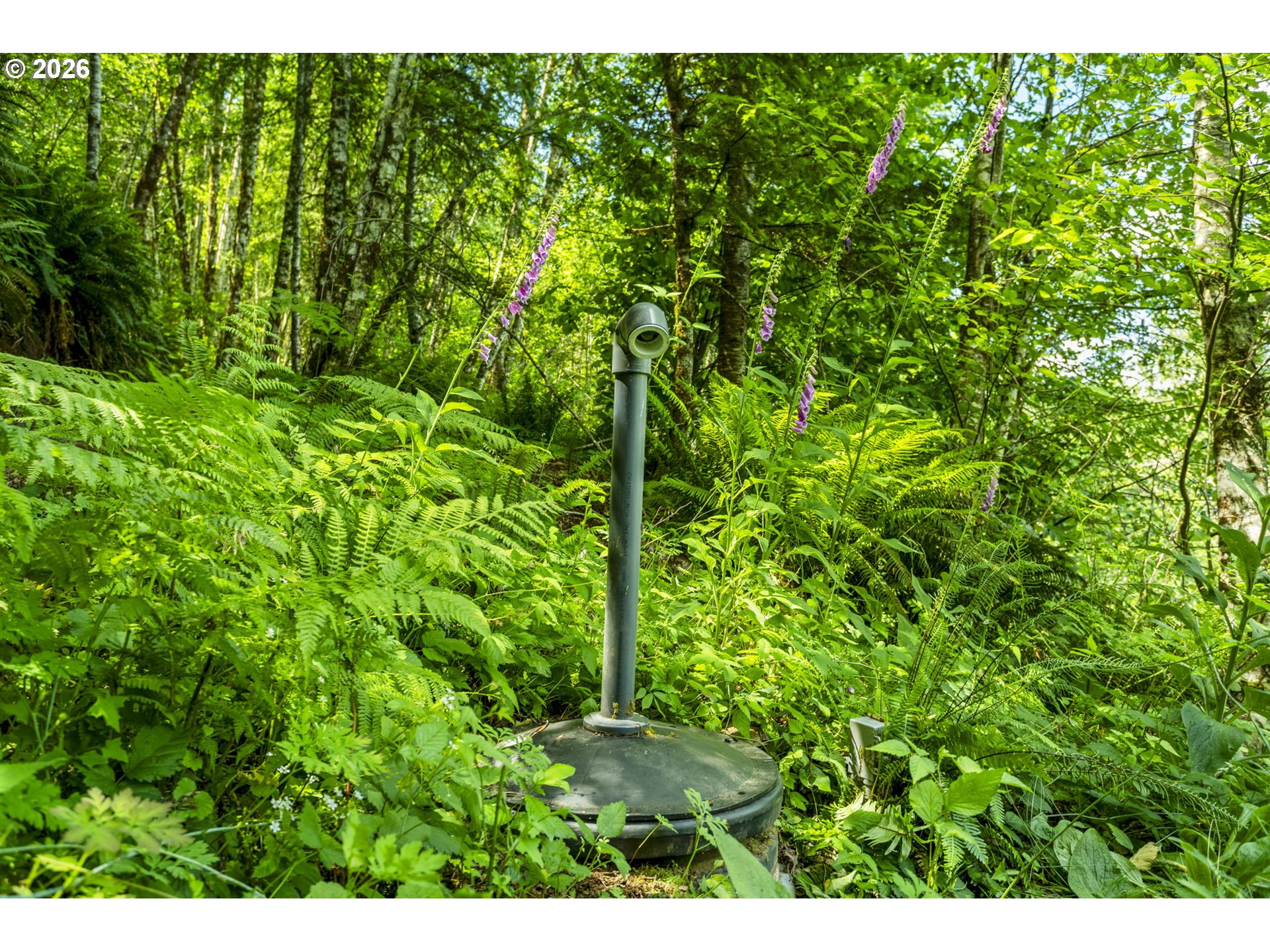 19005 Ne Buncombe Hollow Rd Property Photo 12