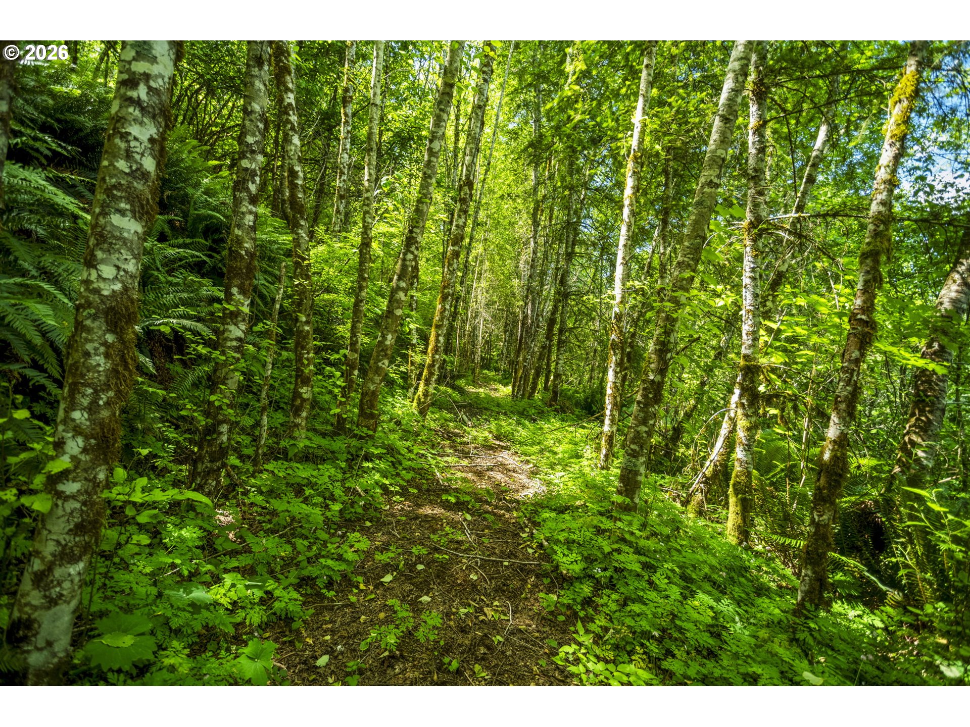 19005 Ne Buncombe Hollow Rd Property Photo 13