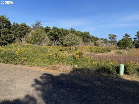 00 Harrison Ave. Lot B Property Photo 2