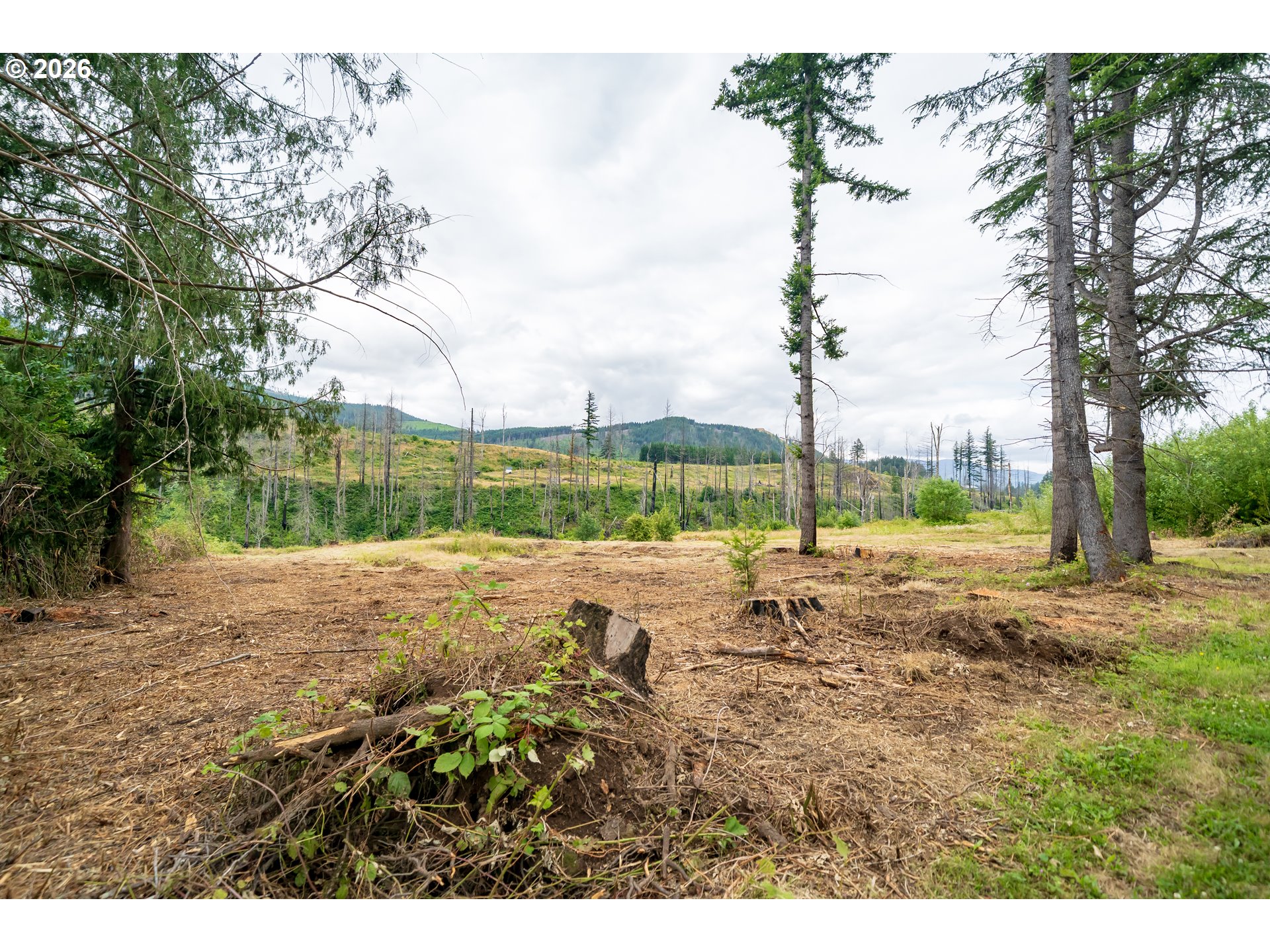 35220 N Santiam Hwy Se Property Photo 3