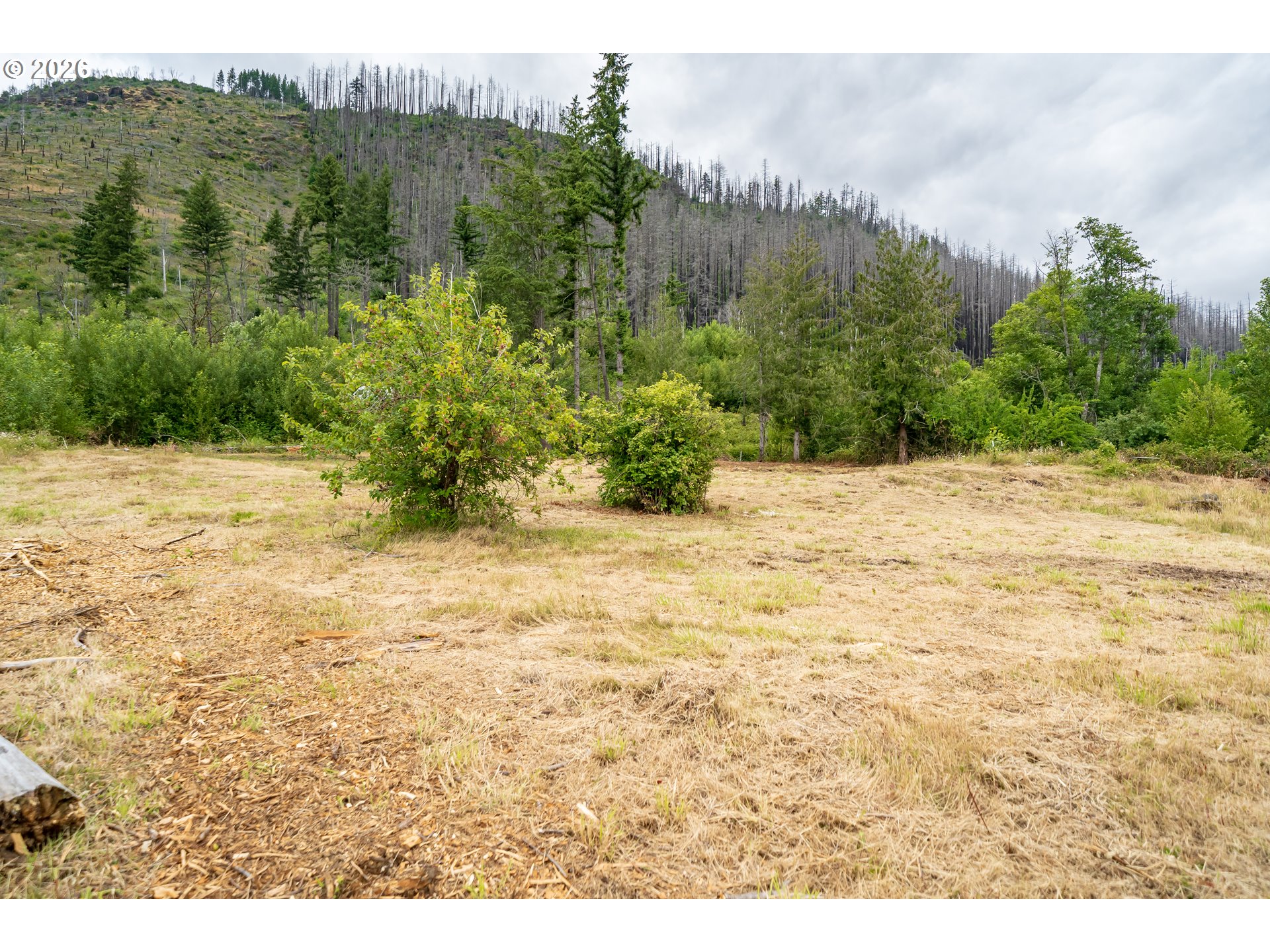 35220 N Santiam Hwy Se Property Photo 4