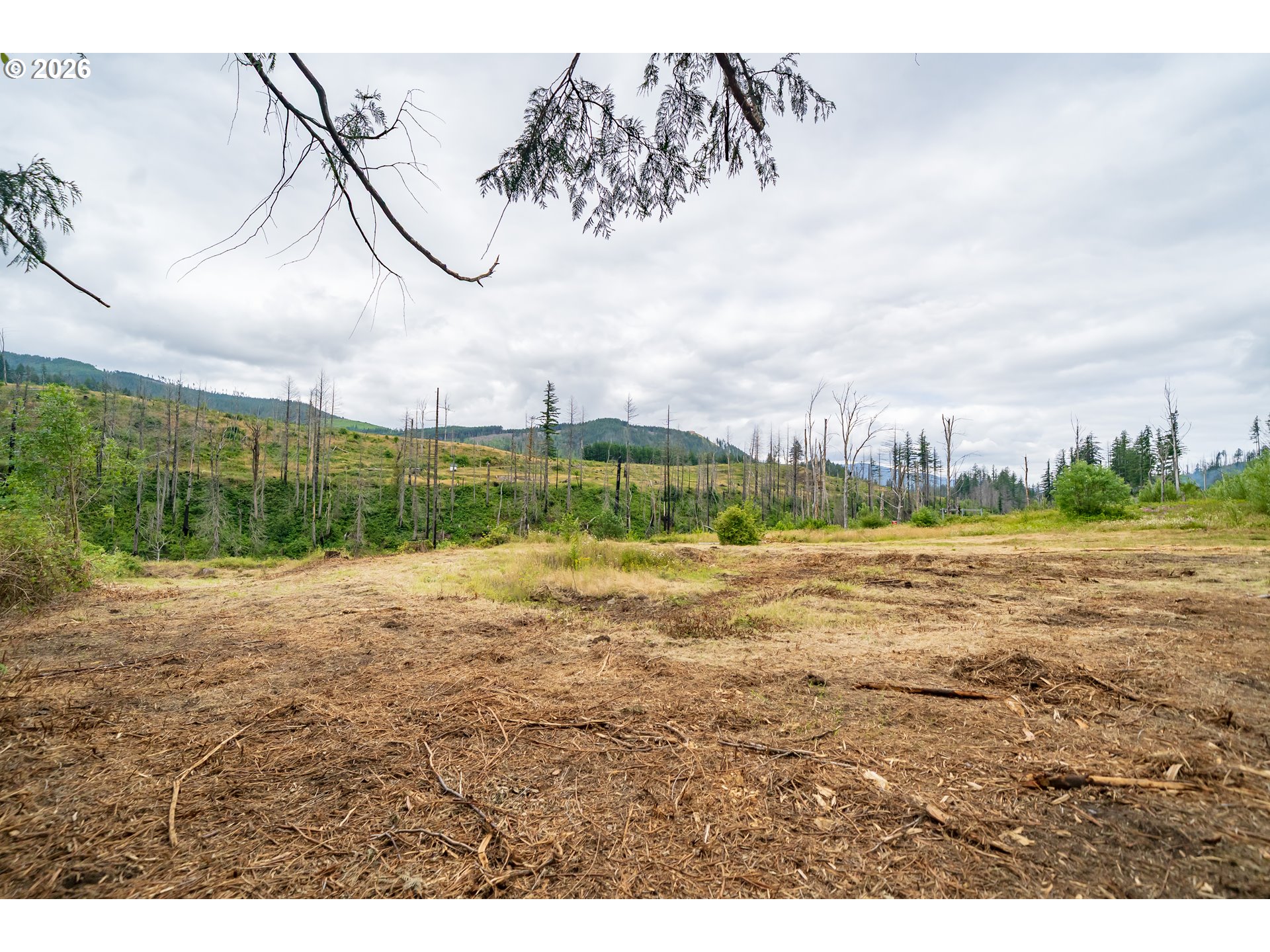 35220 N Santiam Hwy Se Property Photo 5