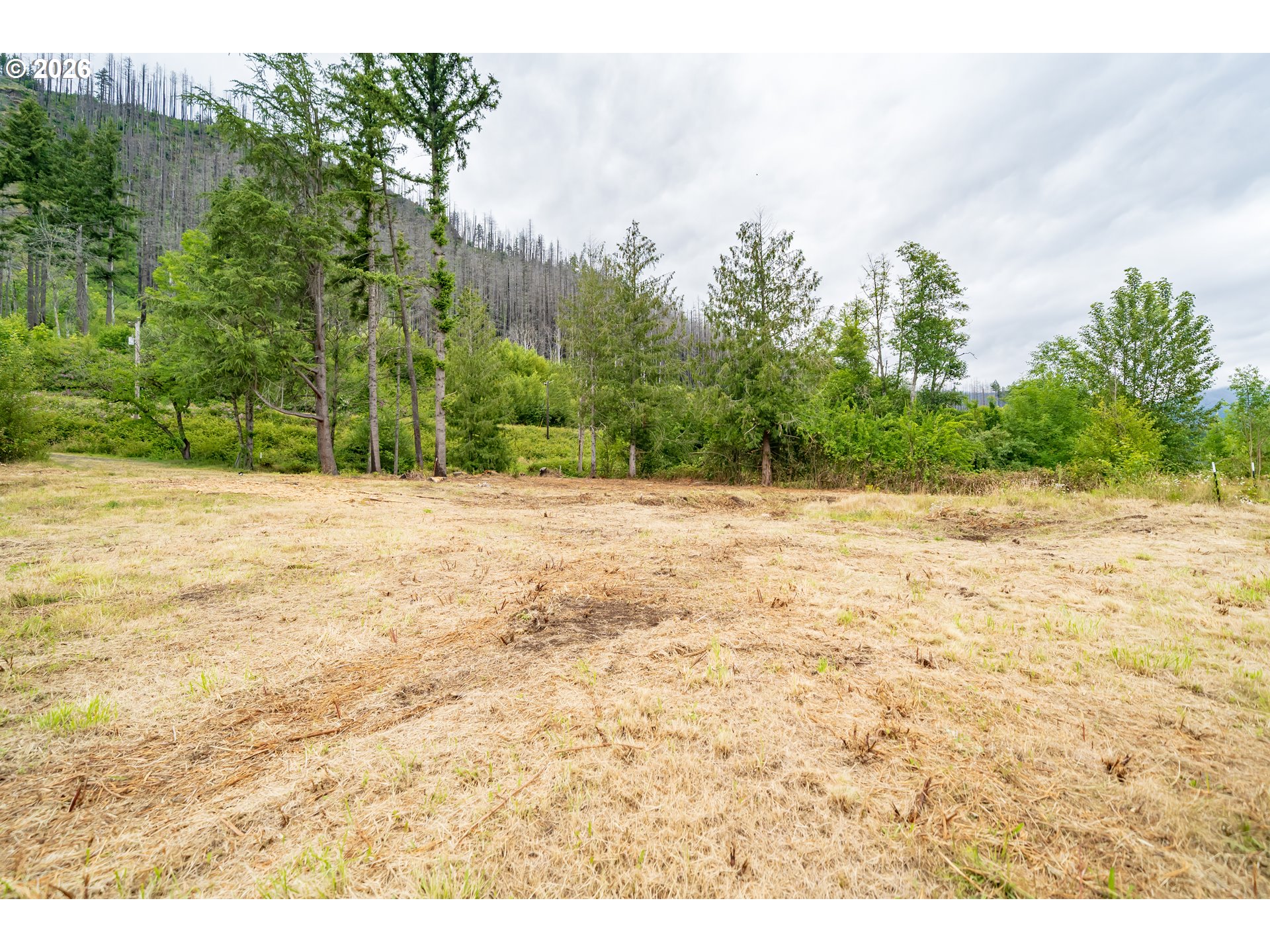 35220 N Santiam Hwy Se Property Photo 8