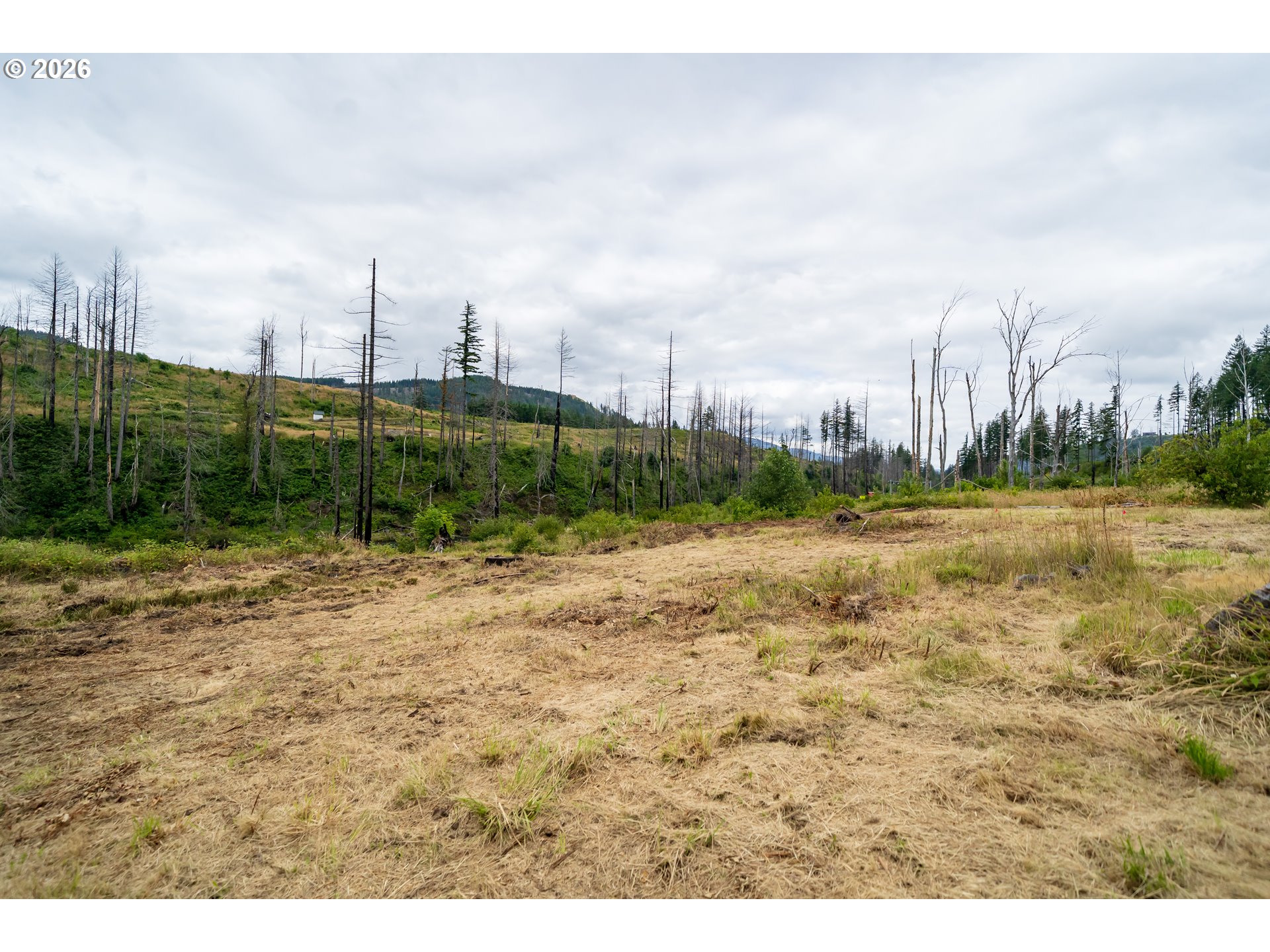 35220 N Santiam Hwy Se Property Photo 9