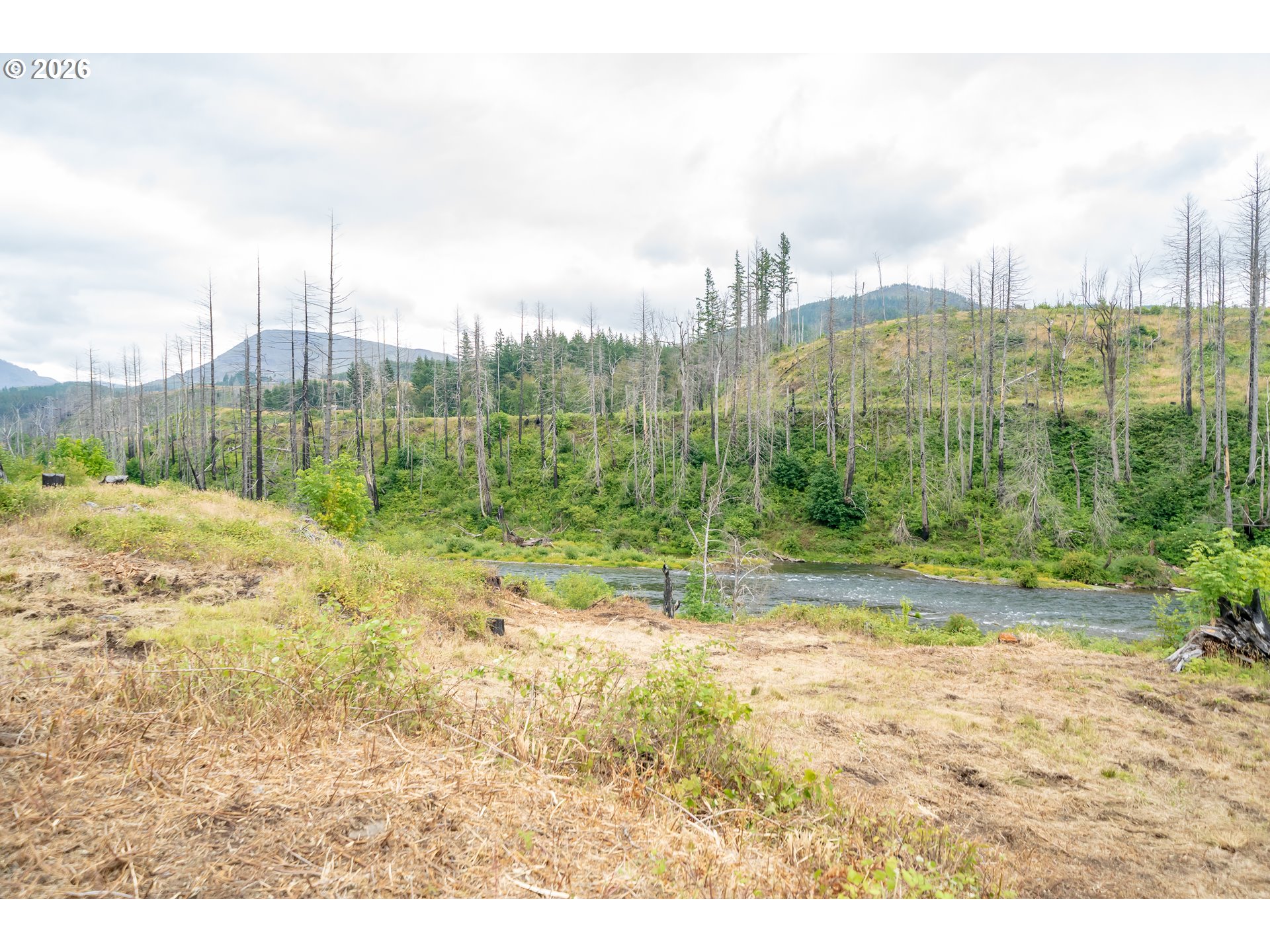 35220 N Santiam Hwy Se Property Photo 10