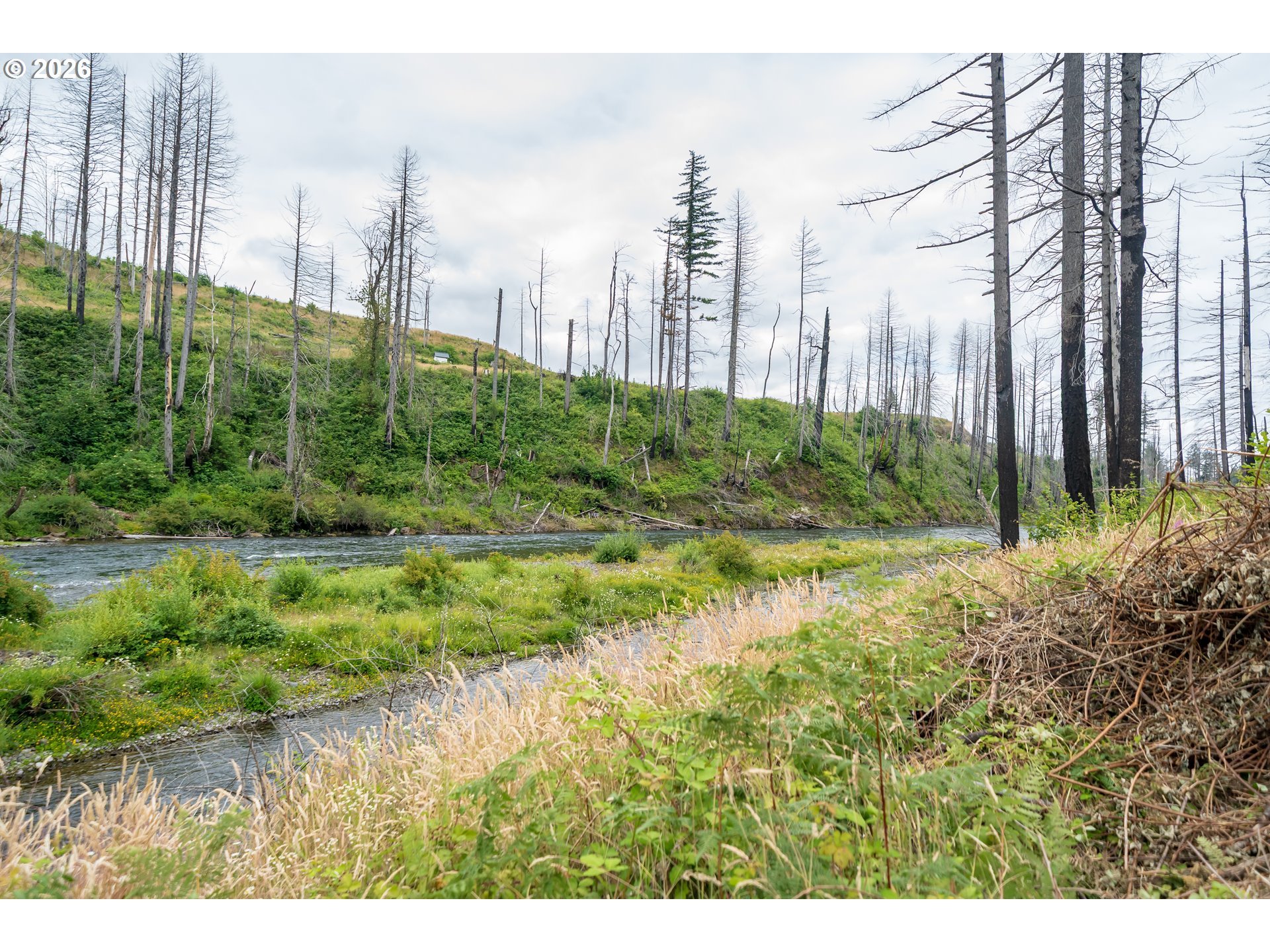 35220 N Santiam Hwy Se Property Photo 11