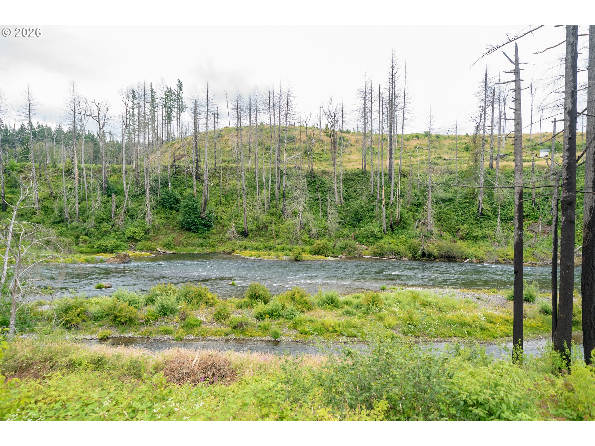 35220 N Santiam Hwy Se Property Photo 12