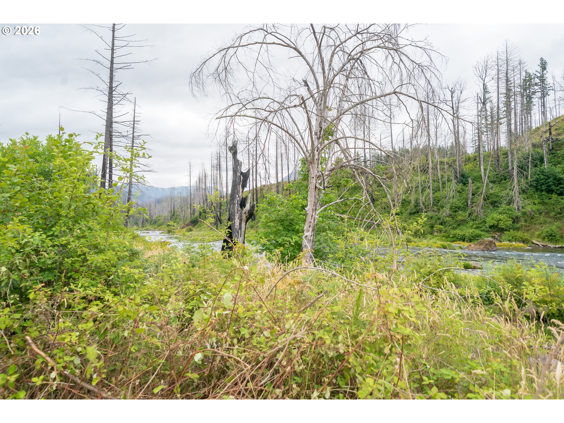 35220 N Santiam Hwy Se Property Photo 13