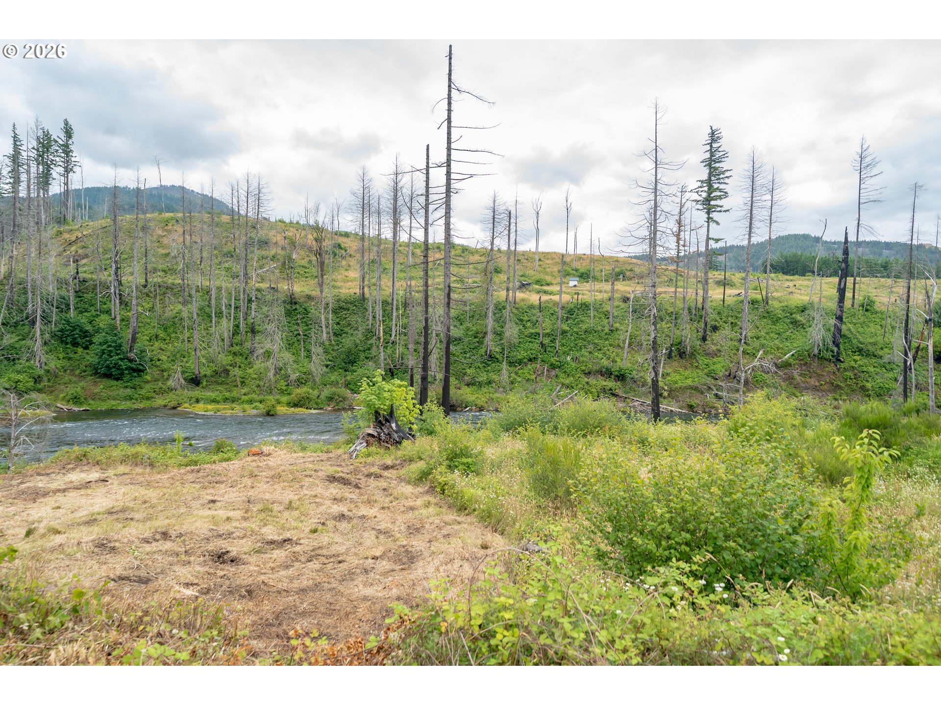 35220 N Santiam Hwy Se Property Photo 15