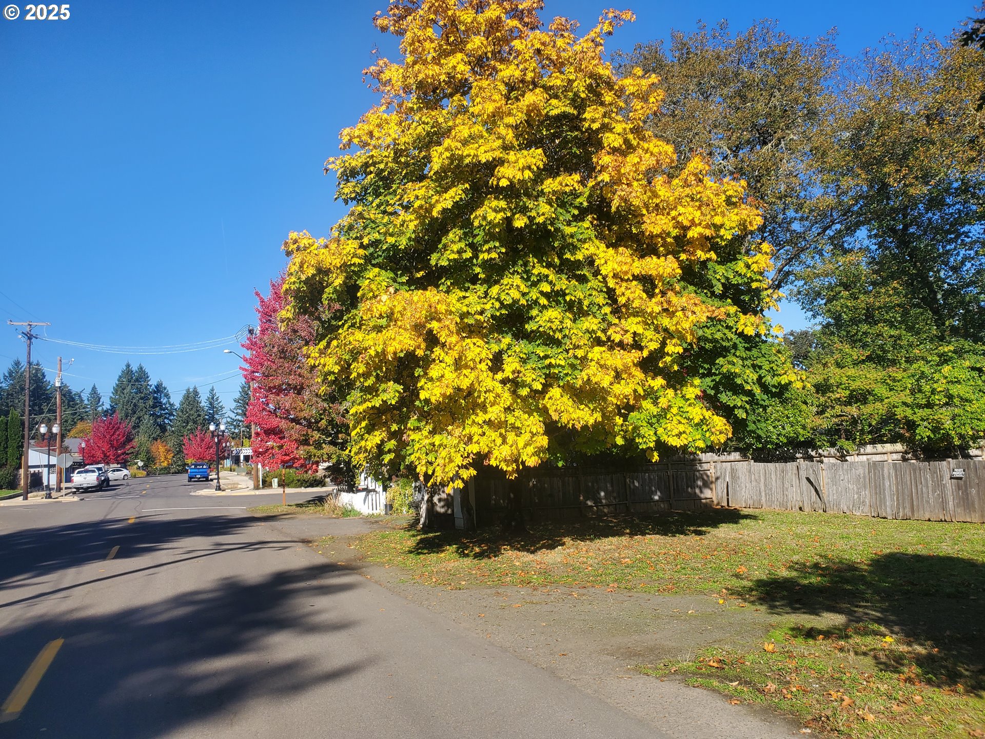 4th Ave Property Photo 6