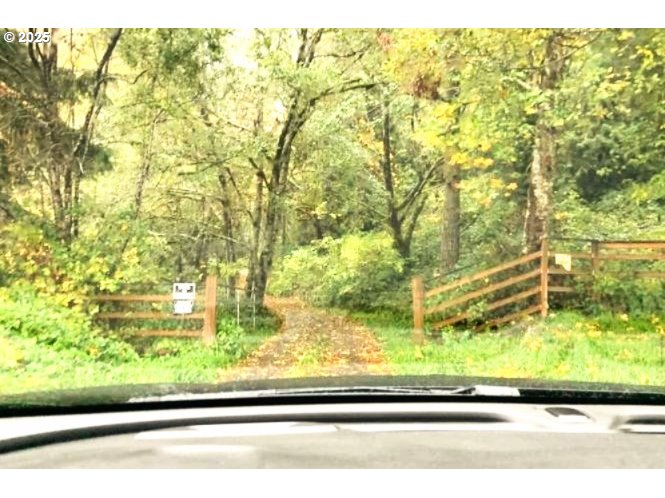 9247 Highway 126 Property Photo 2