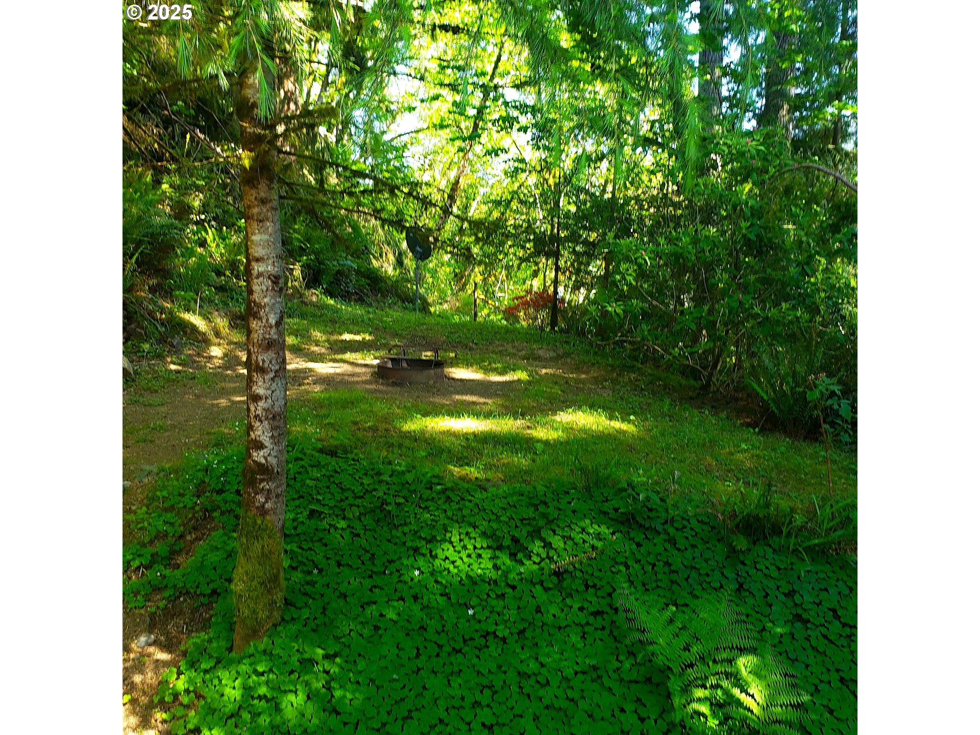 9247 Highway 126 Property Photo 19