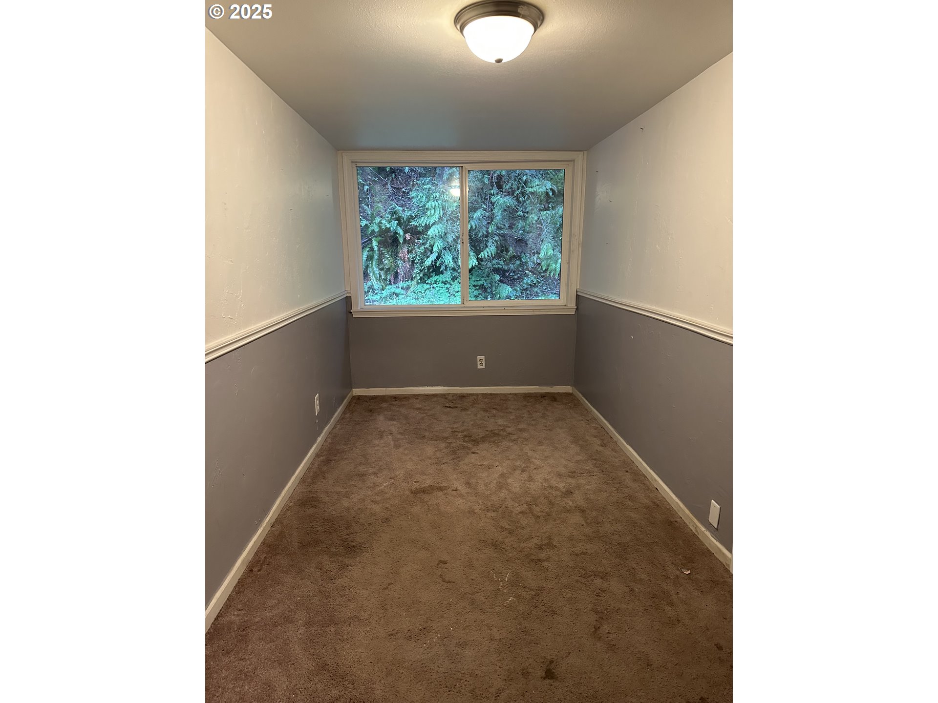9247 Highway 126 Property Photo 26