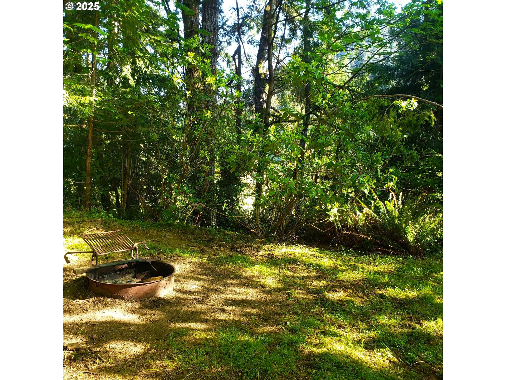 9247 Highway 126 Property Photo 32