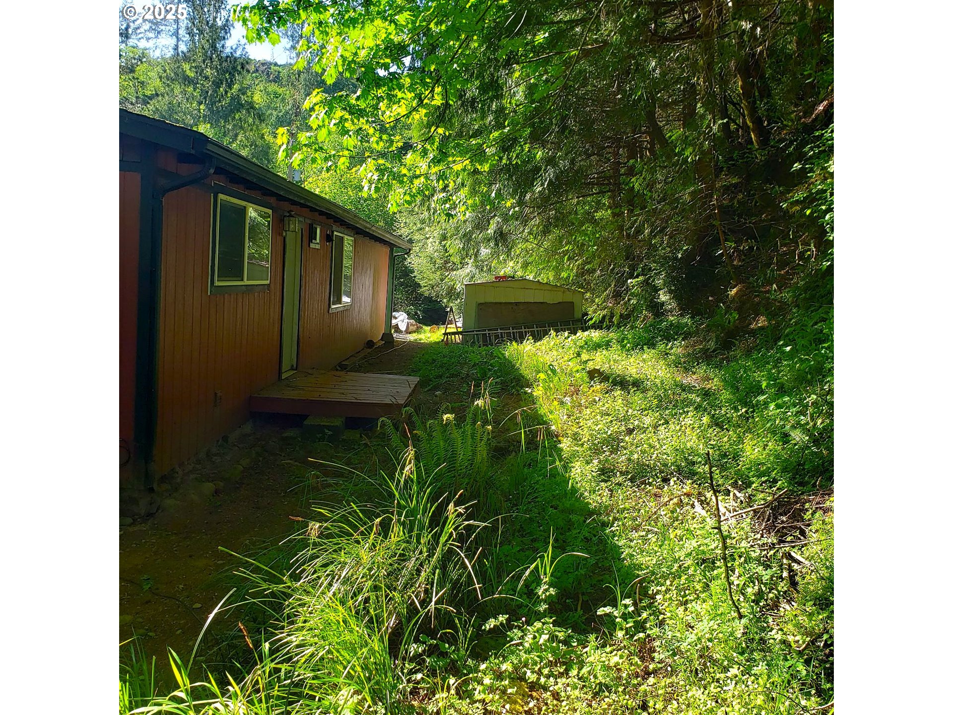 9247 Highway 126 Property Photo 33