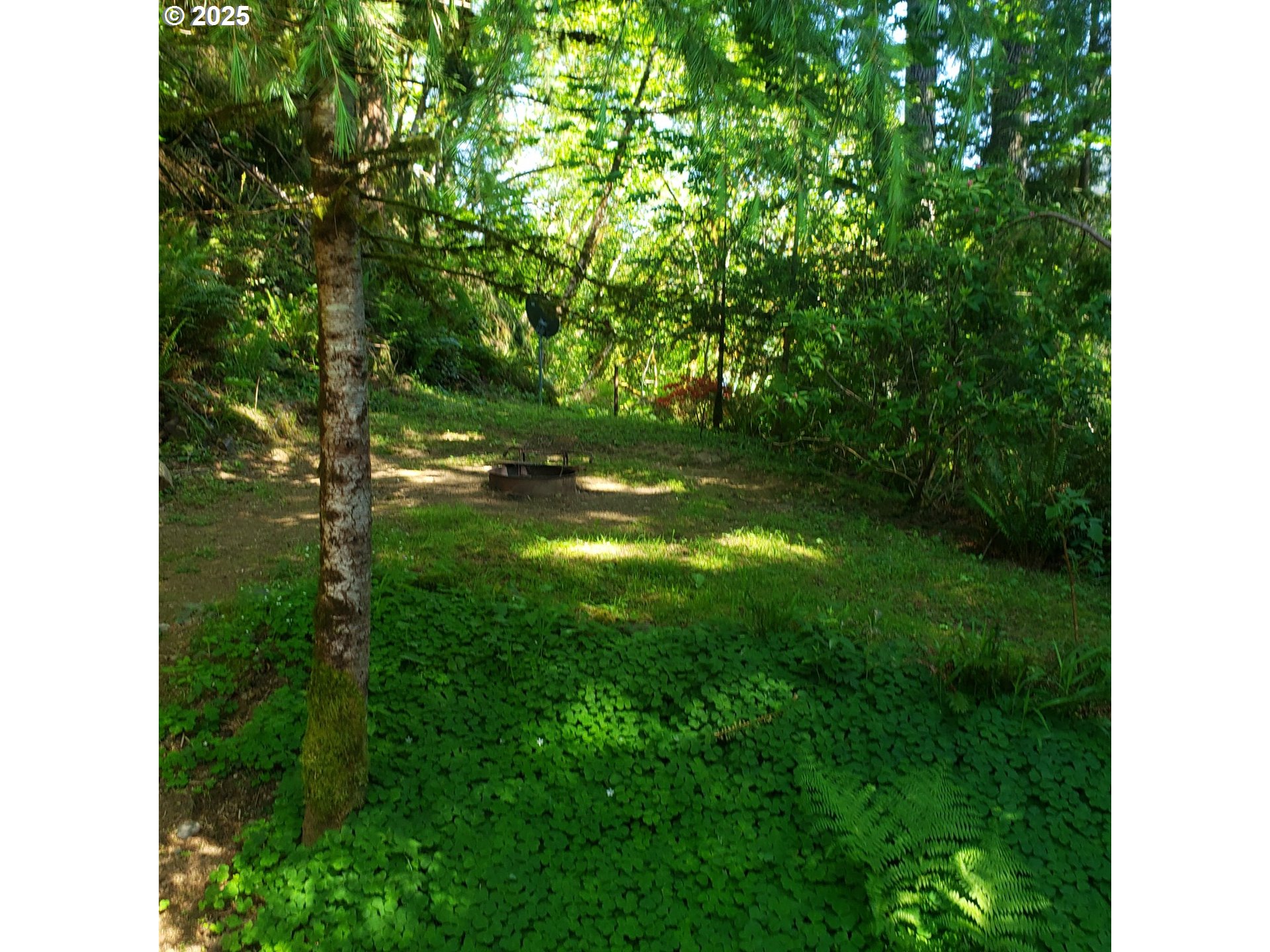 9247 Highway 126 Property Photo 36