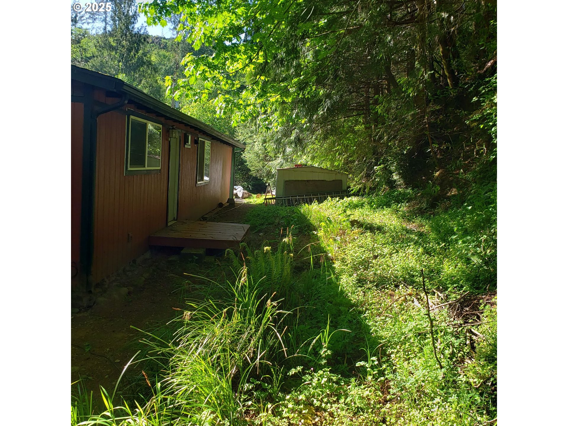 9247 Highway 126 Property Photo 38