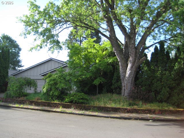 4254 Snoopy Ct Property Photo 2