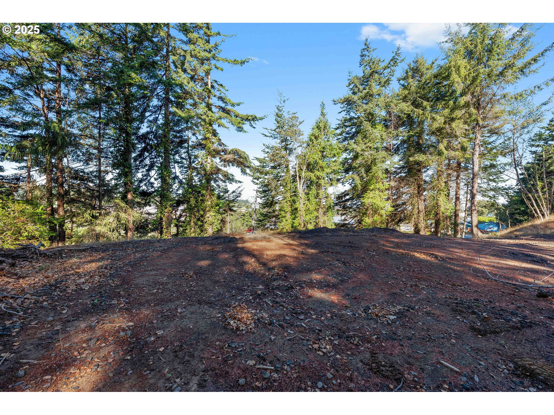 2253 Pony Creek Rd Property Photo 4