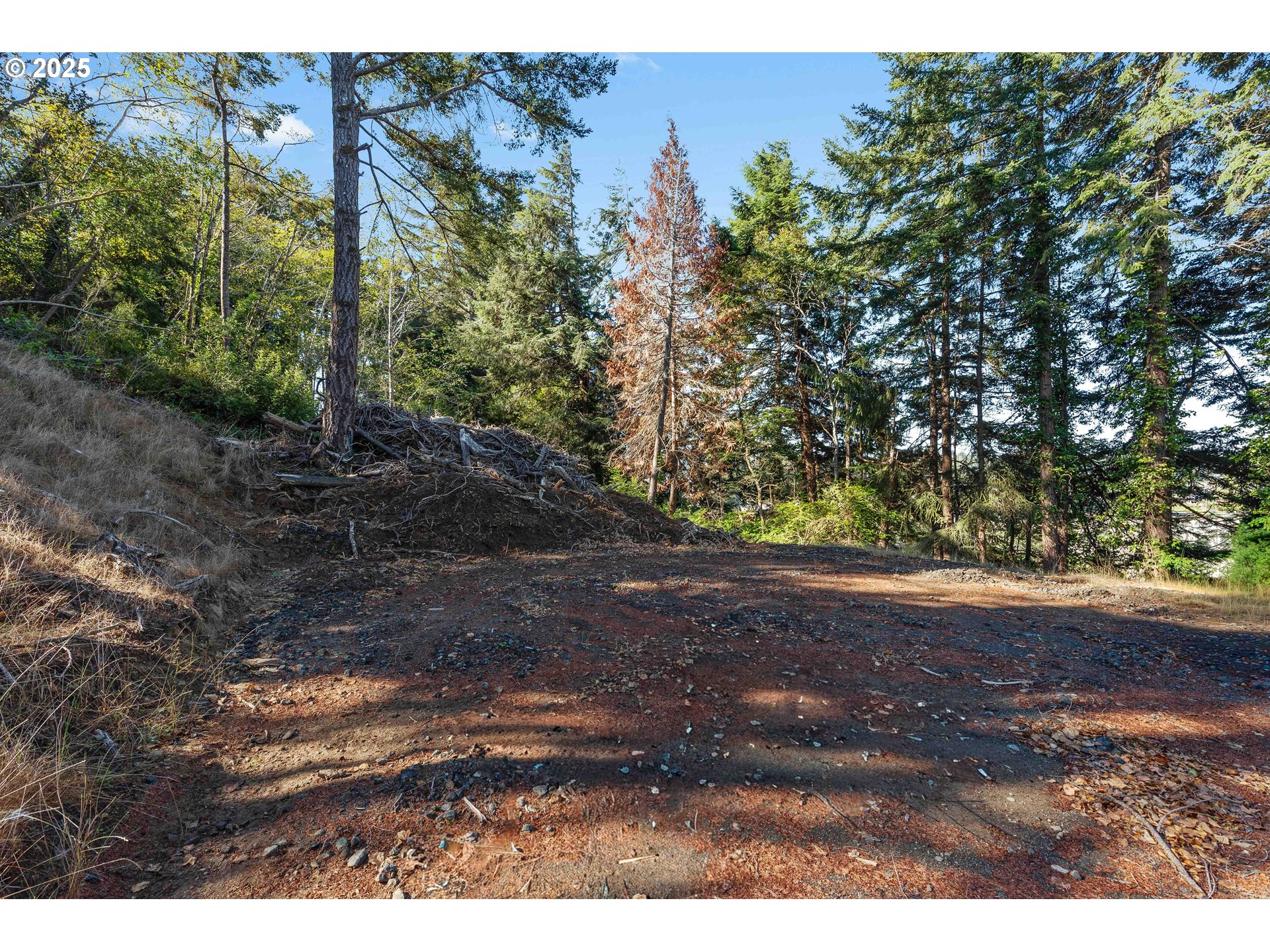 2253 Pony Creek Rd Property Photo 5