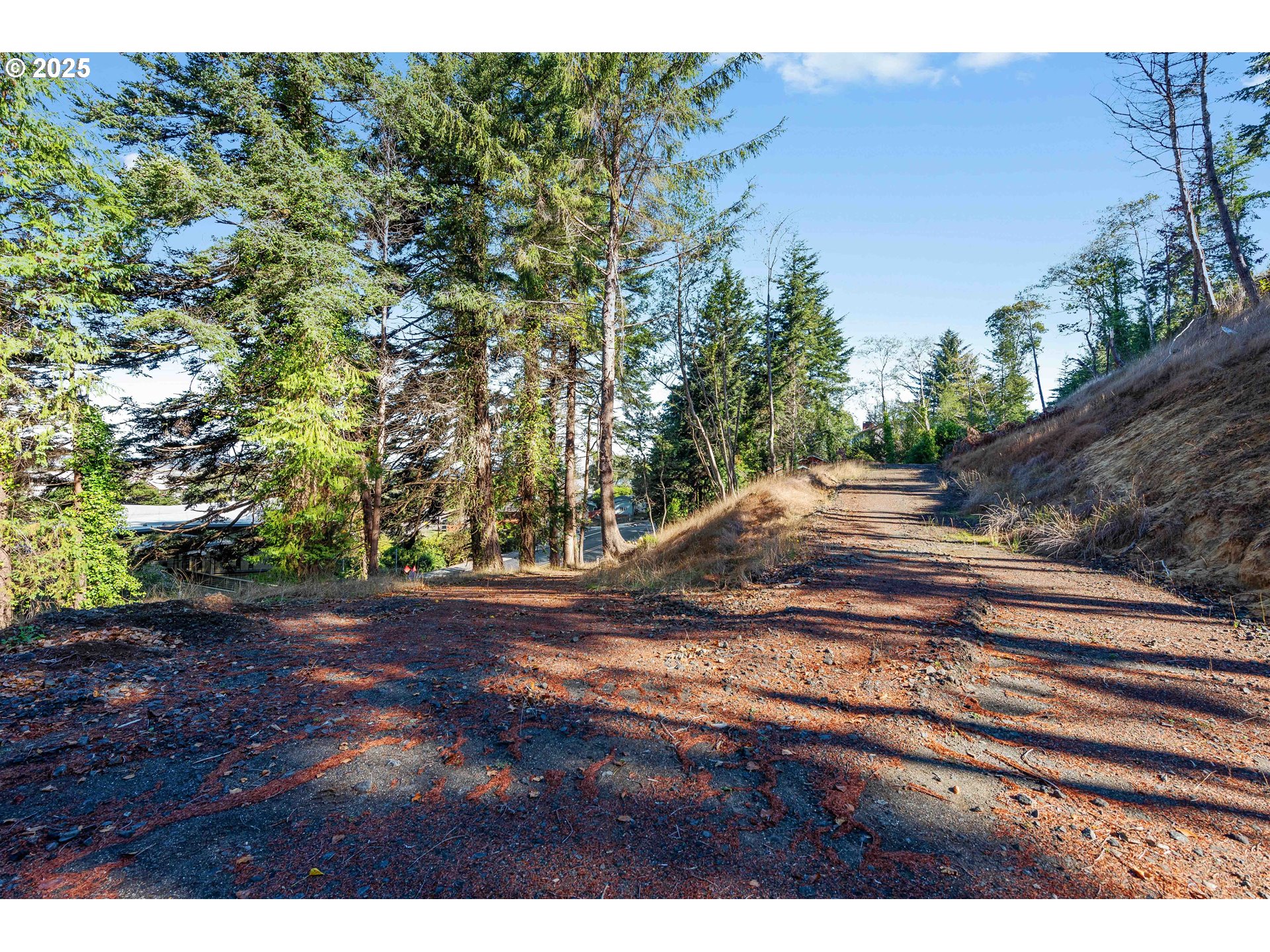 2253 Pony Creek Rd Property Photo 6