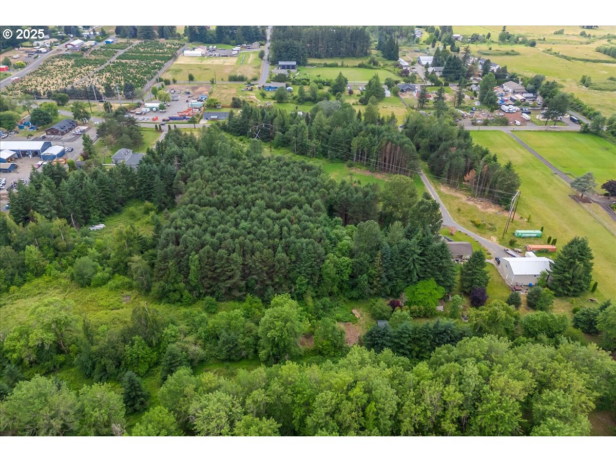 0 Se 172nd Ave Property Photo 10