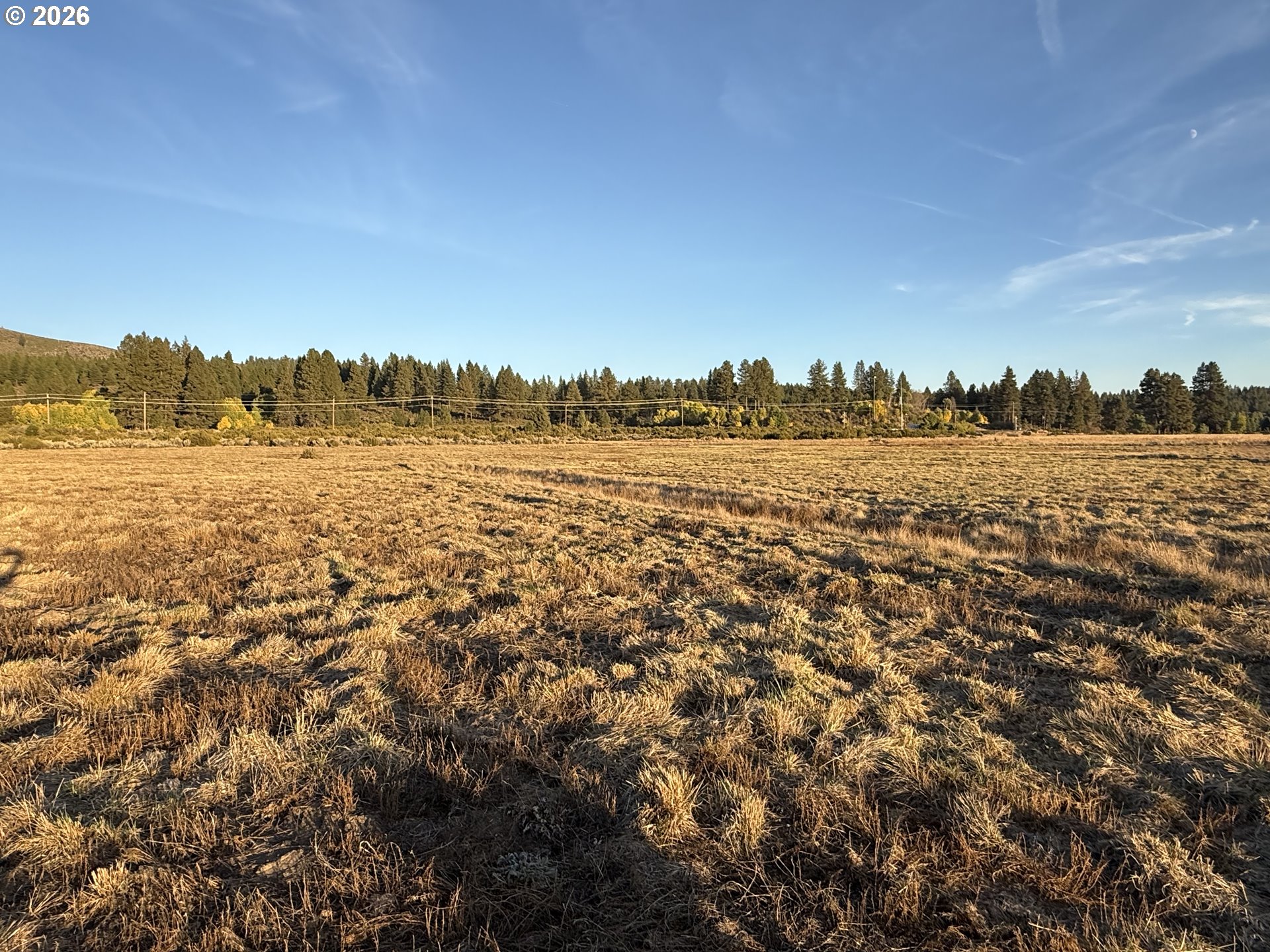 0 Cattle Dr Property Photo 6
