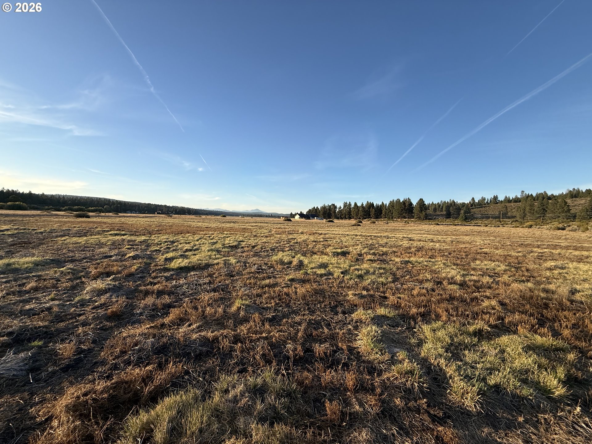 0 Cattle Dr Property Photo 8