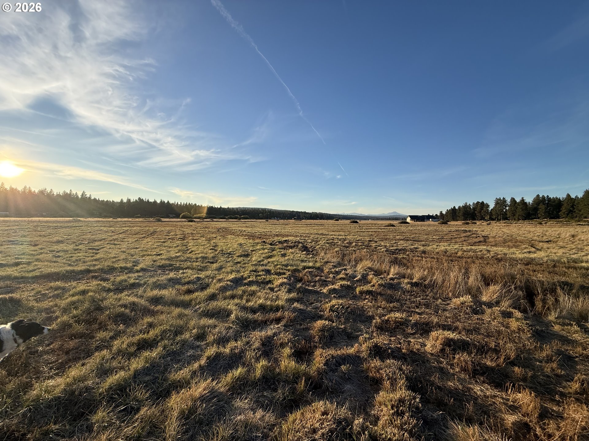 0 Cattle Dr Property Photo 10