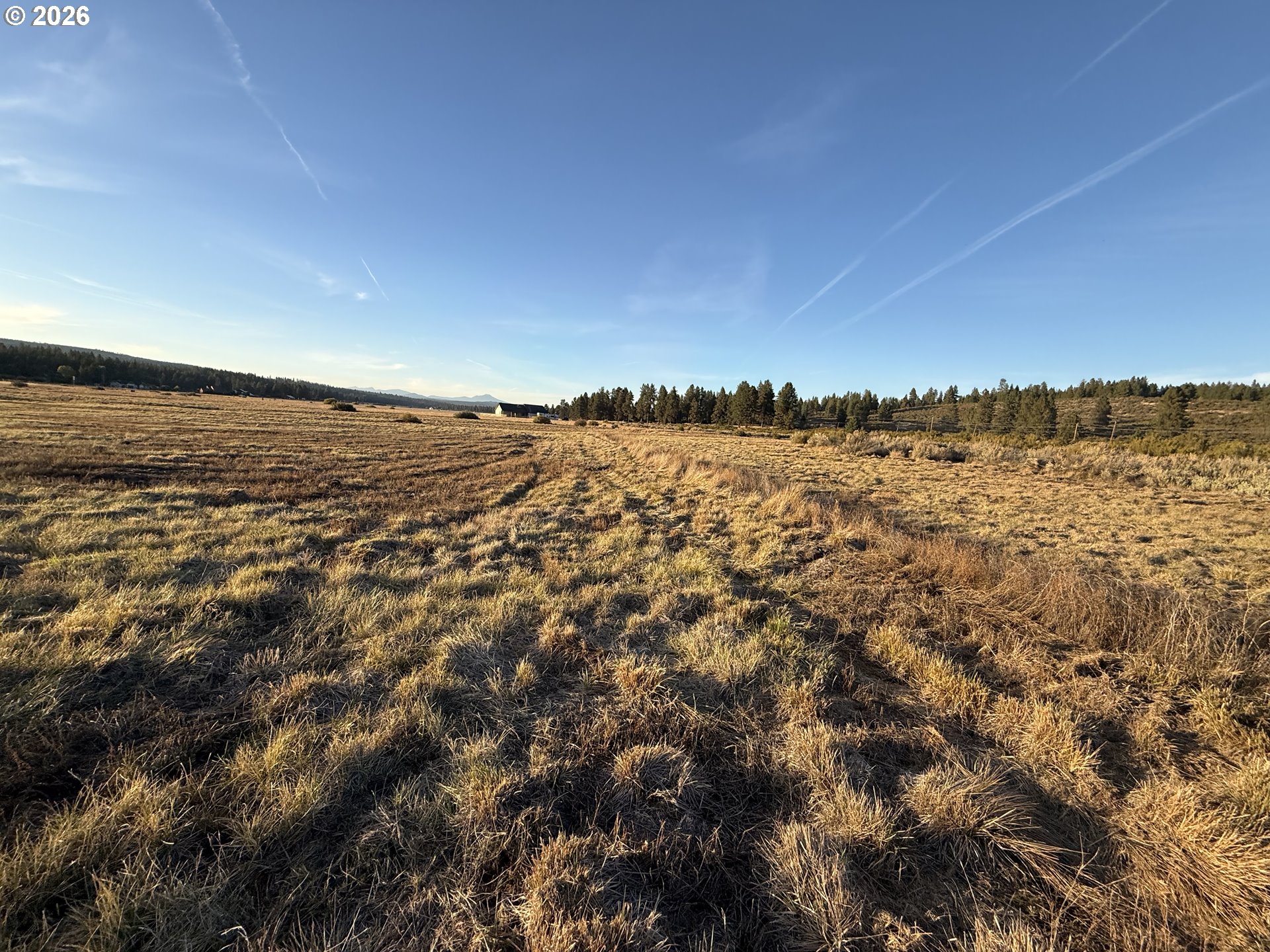 0 Cattle Dr Property Photo 11