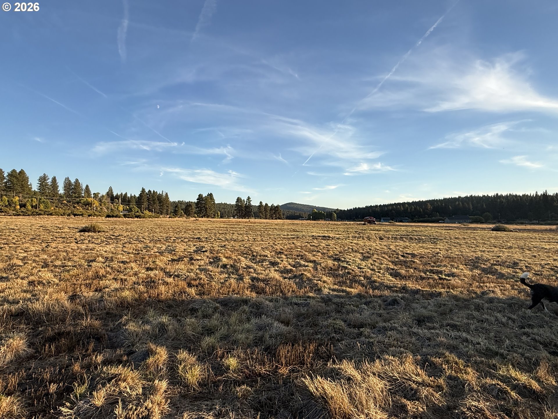 0 Cattle Dr Property Photo 14