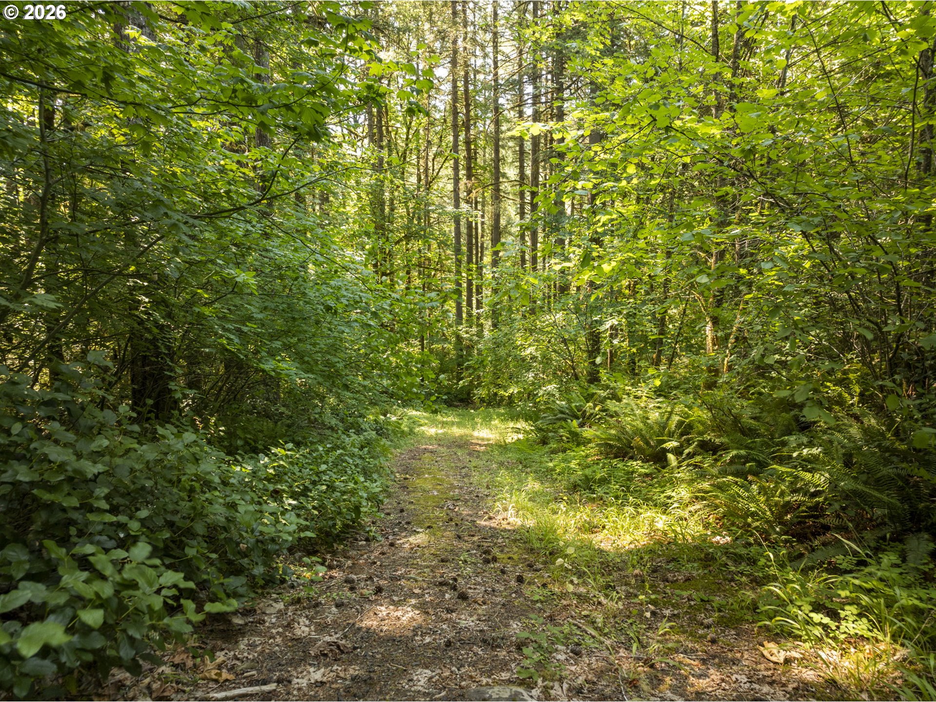0 Green Mountain Rd 2 Property Photo 2