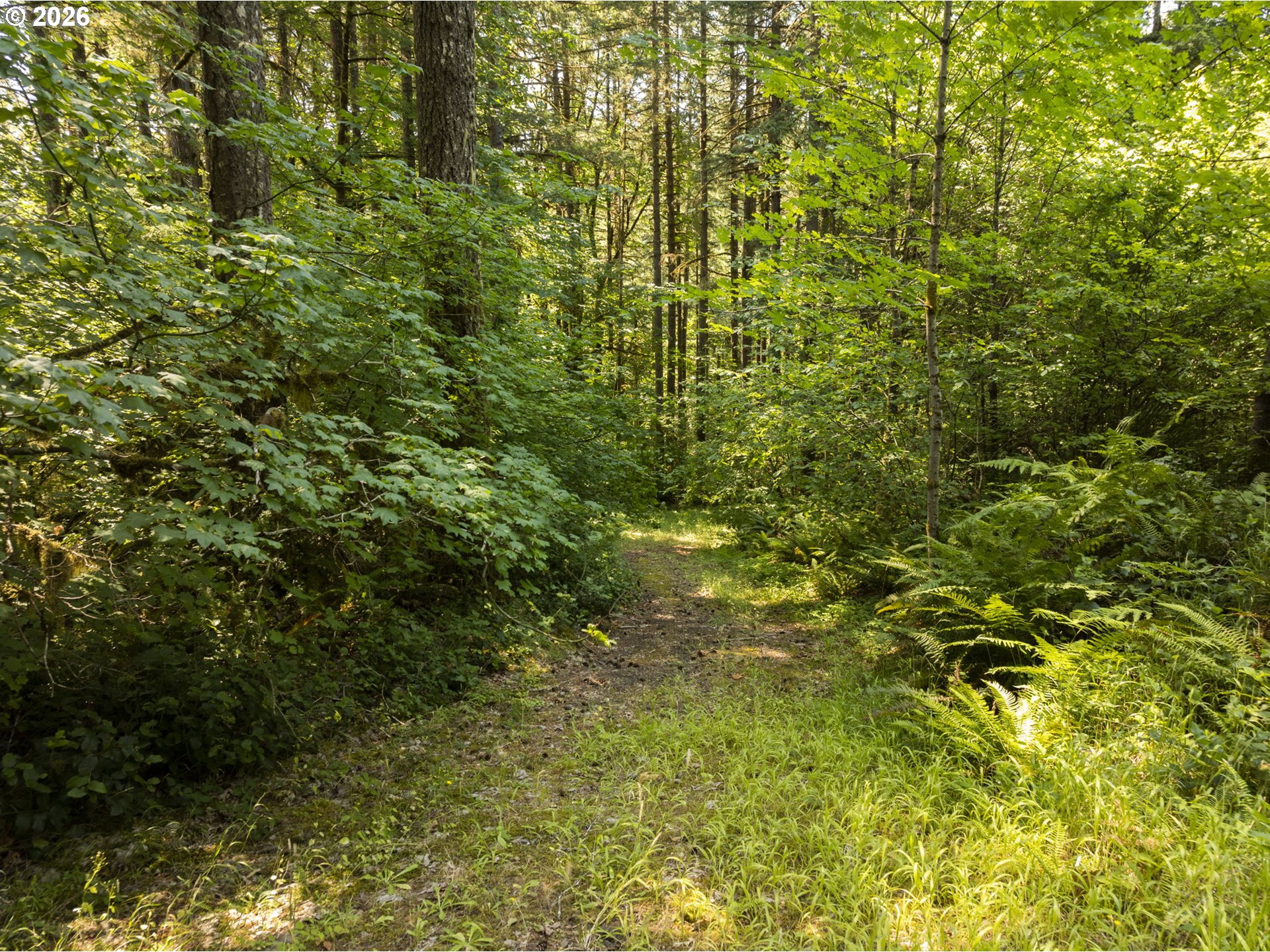 0 Green Mountain Rd 2 Property Photo 6
