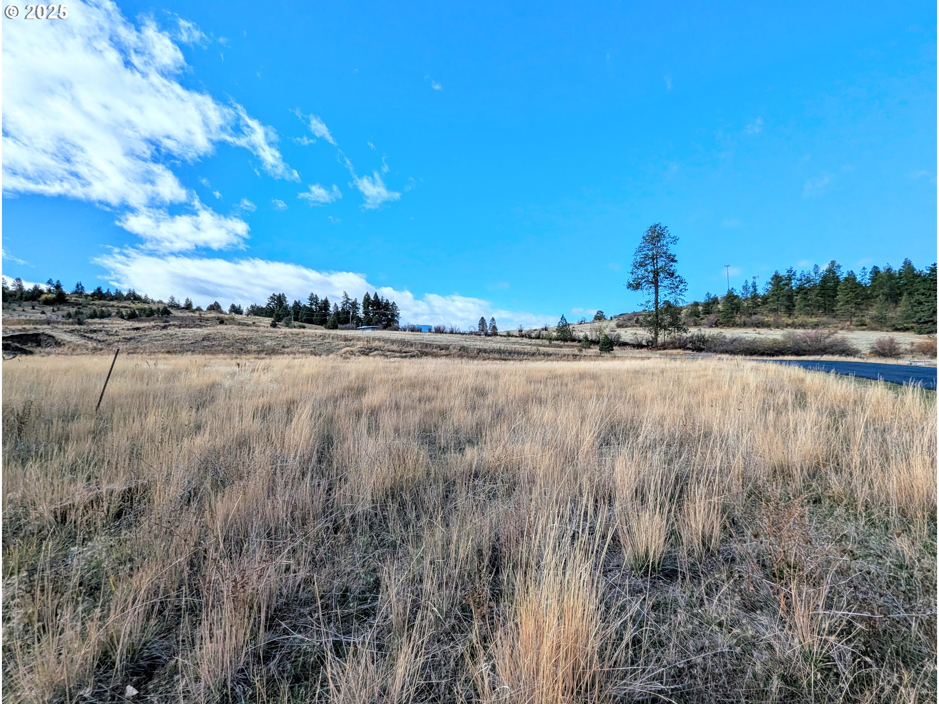 0 Rose Ridge Rd 2 Property Photo 2