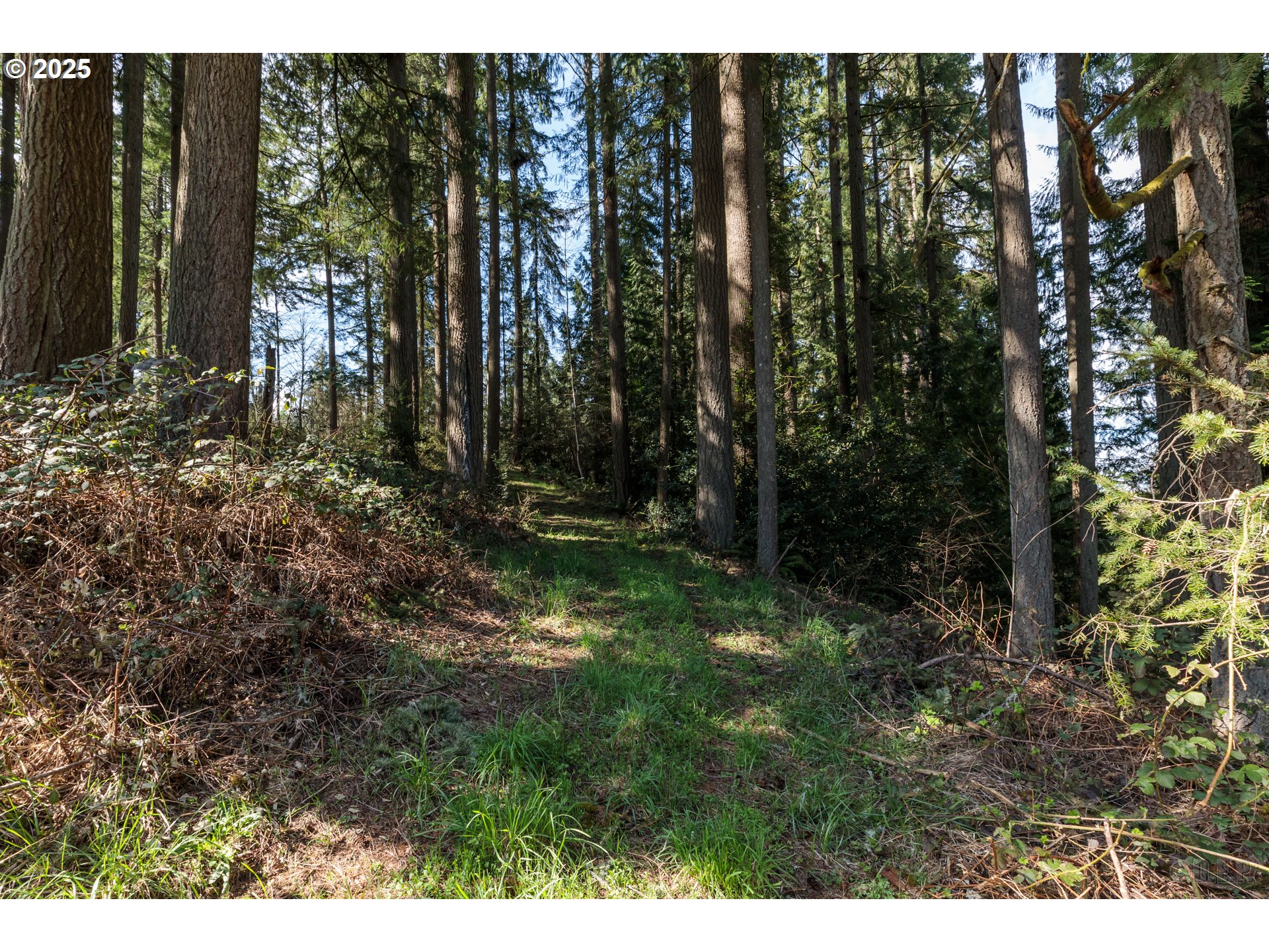 0 Oester Rd Property Photo 5