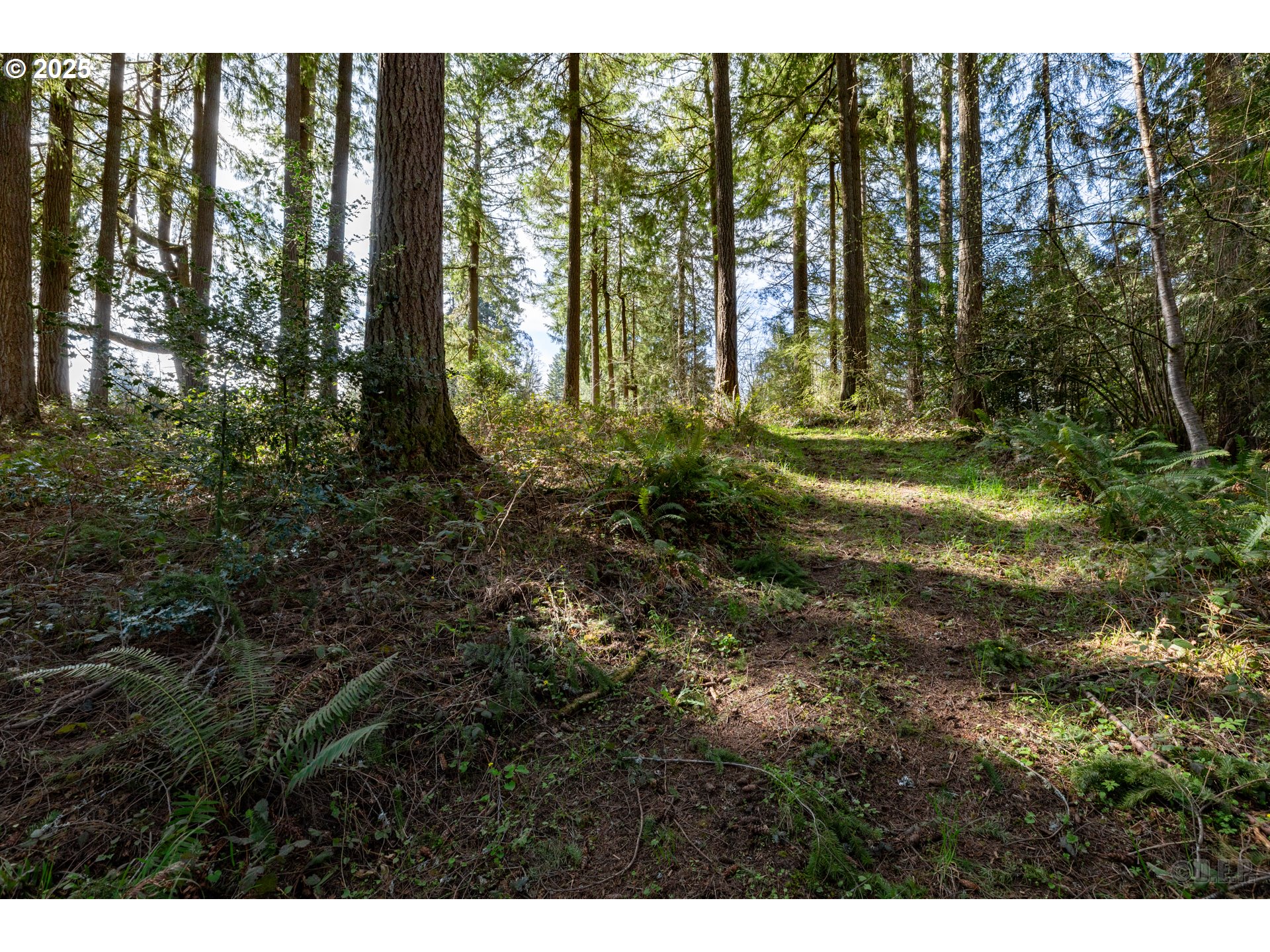 0 Oester Rd Property Photo 6