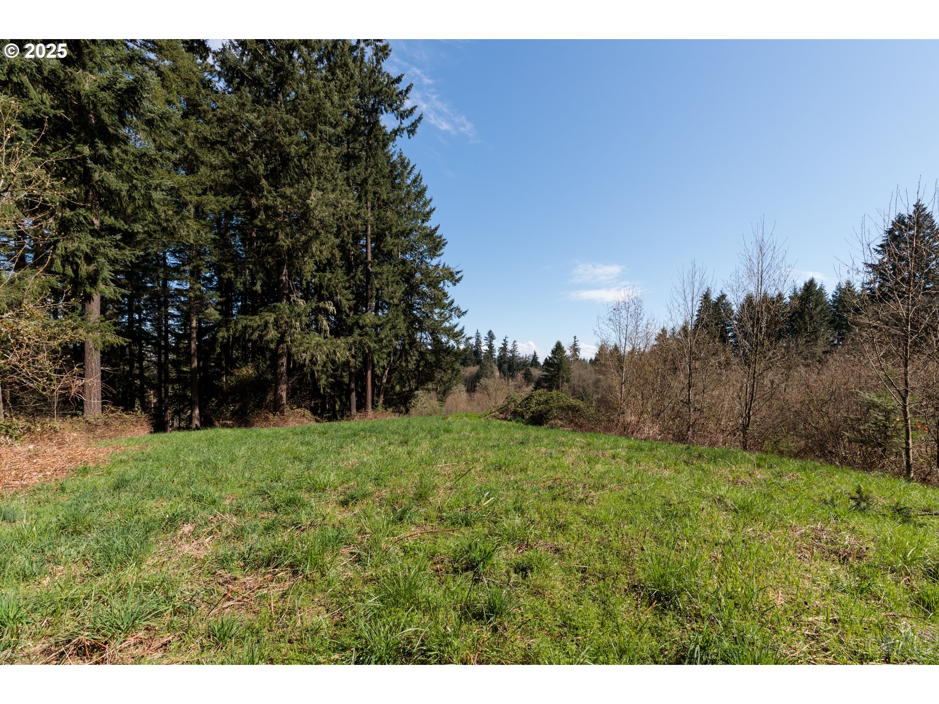 0 Oester Rd Property Photo 7