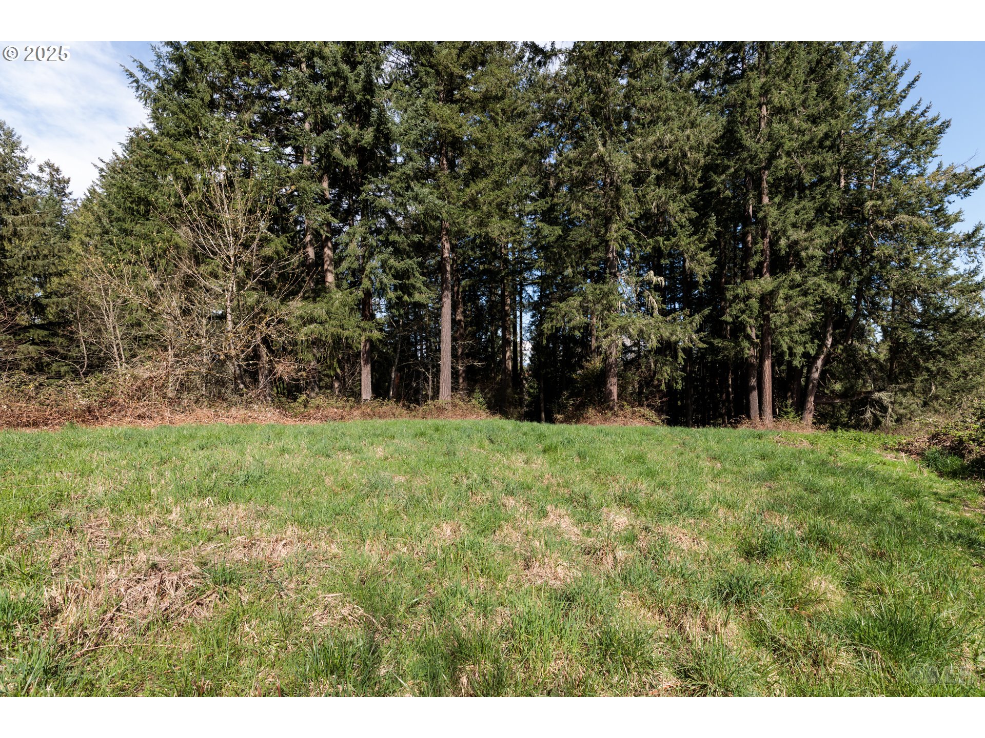 0 Oester Rd Property Photo 8