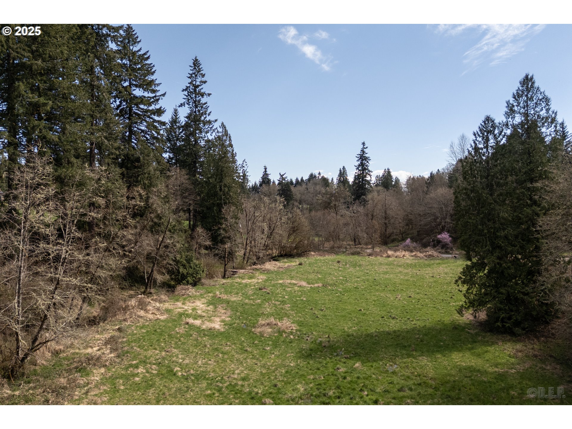 0 Oester Rd Property Photo 9