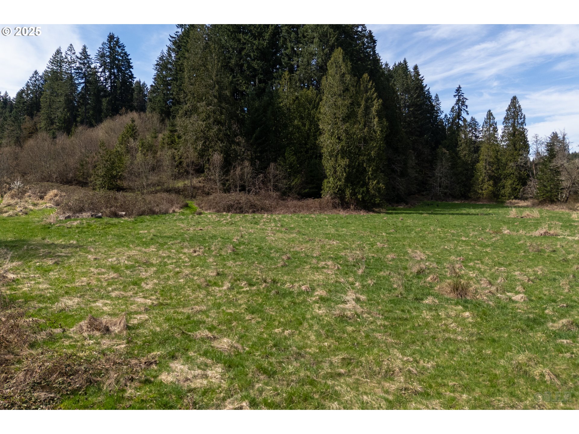0 Oester Rd Property Photo 10